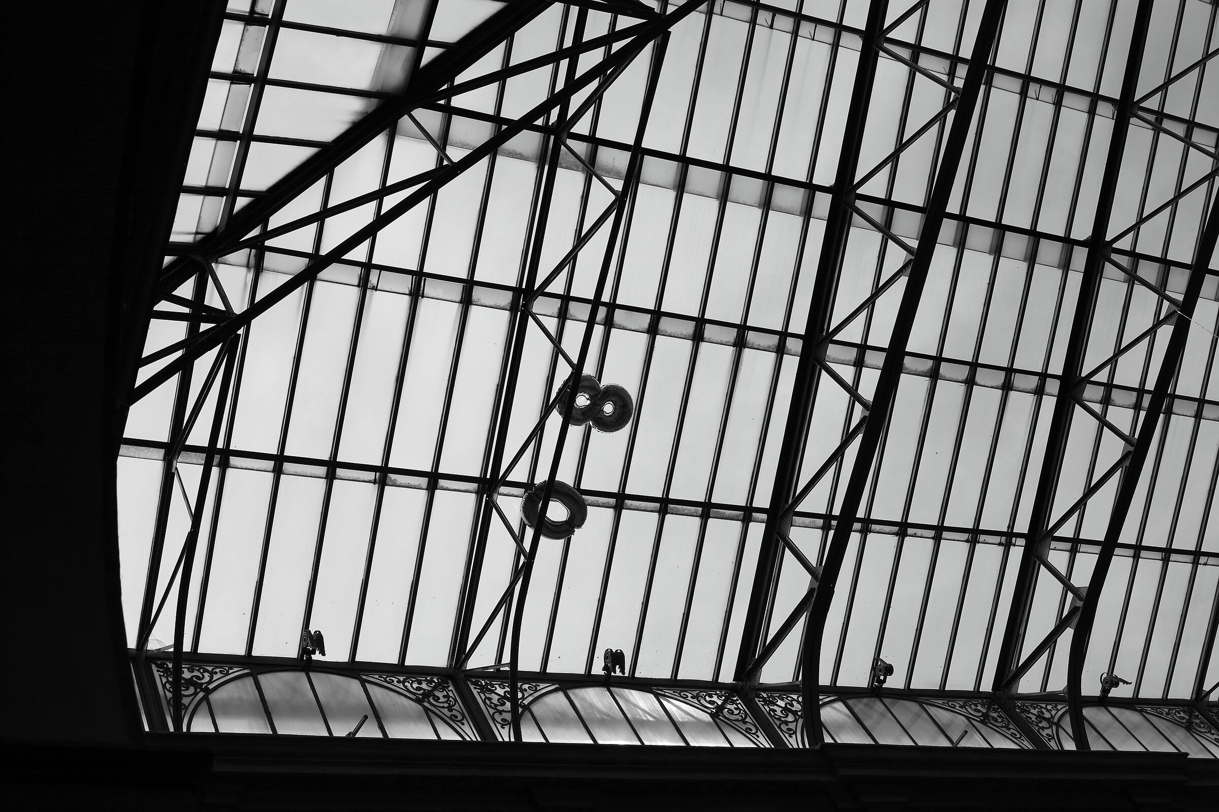 Untitled Photo