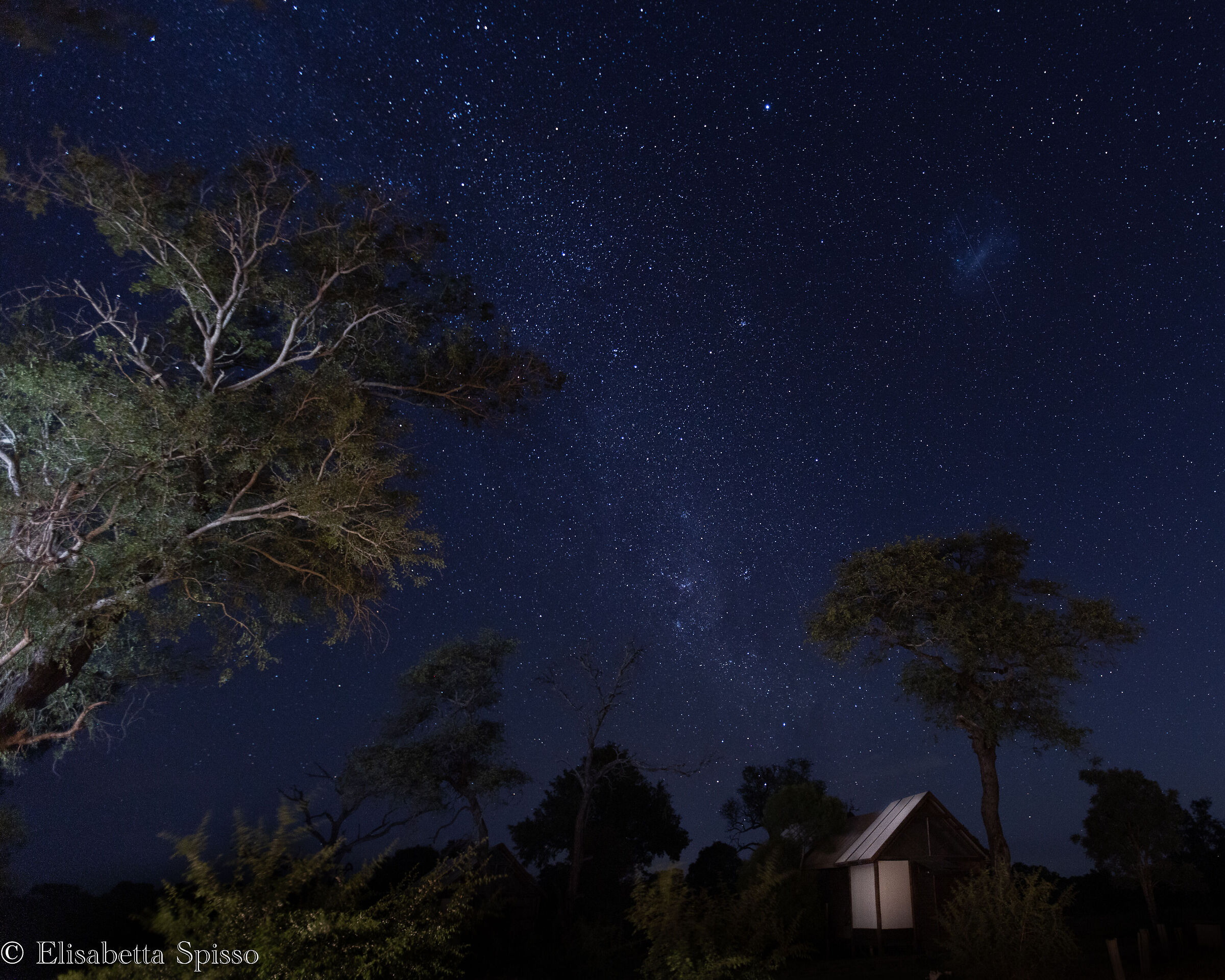 Manyeleti Game Reserve