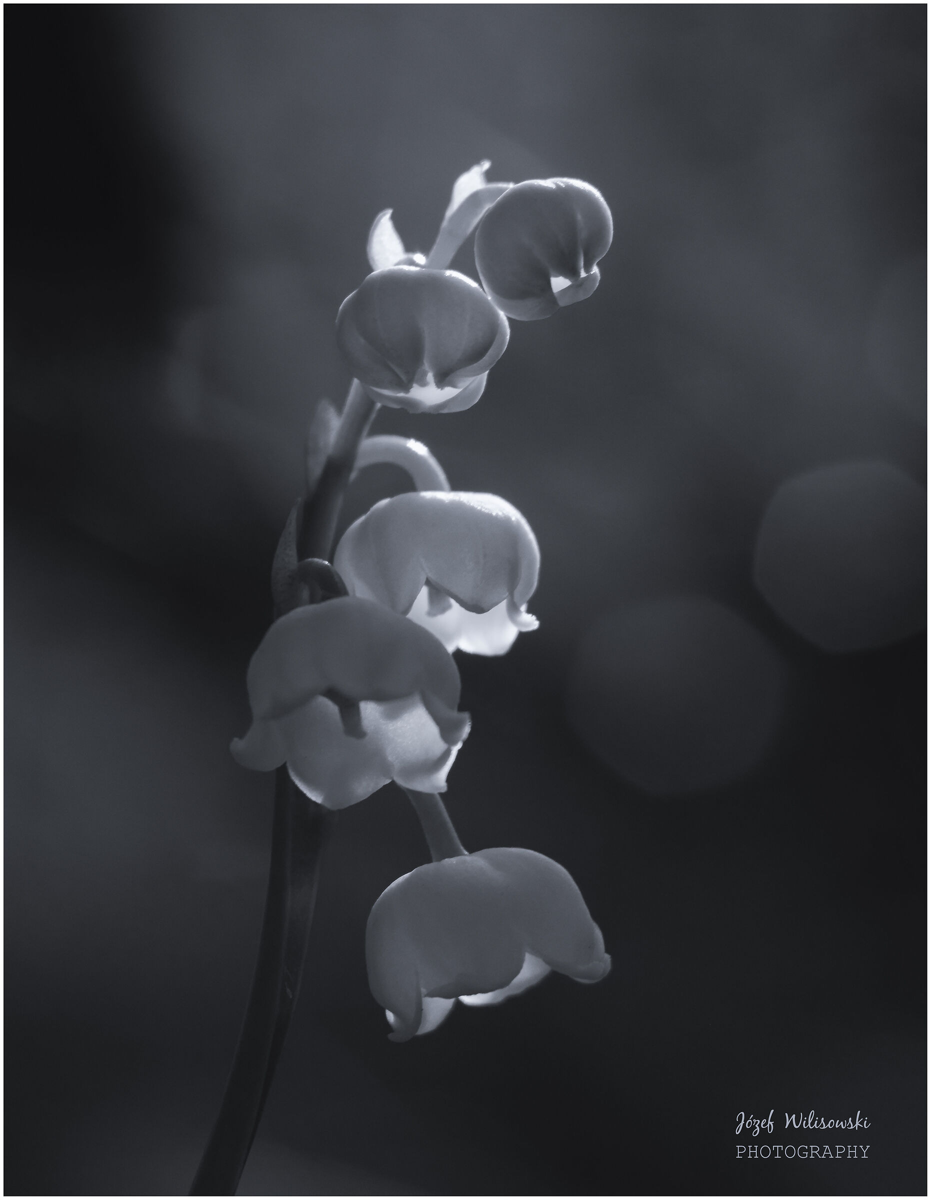 Russian lens j25u  4,5/110