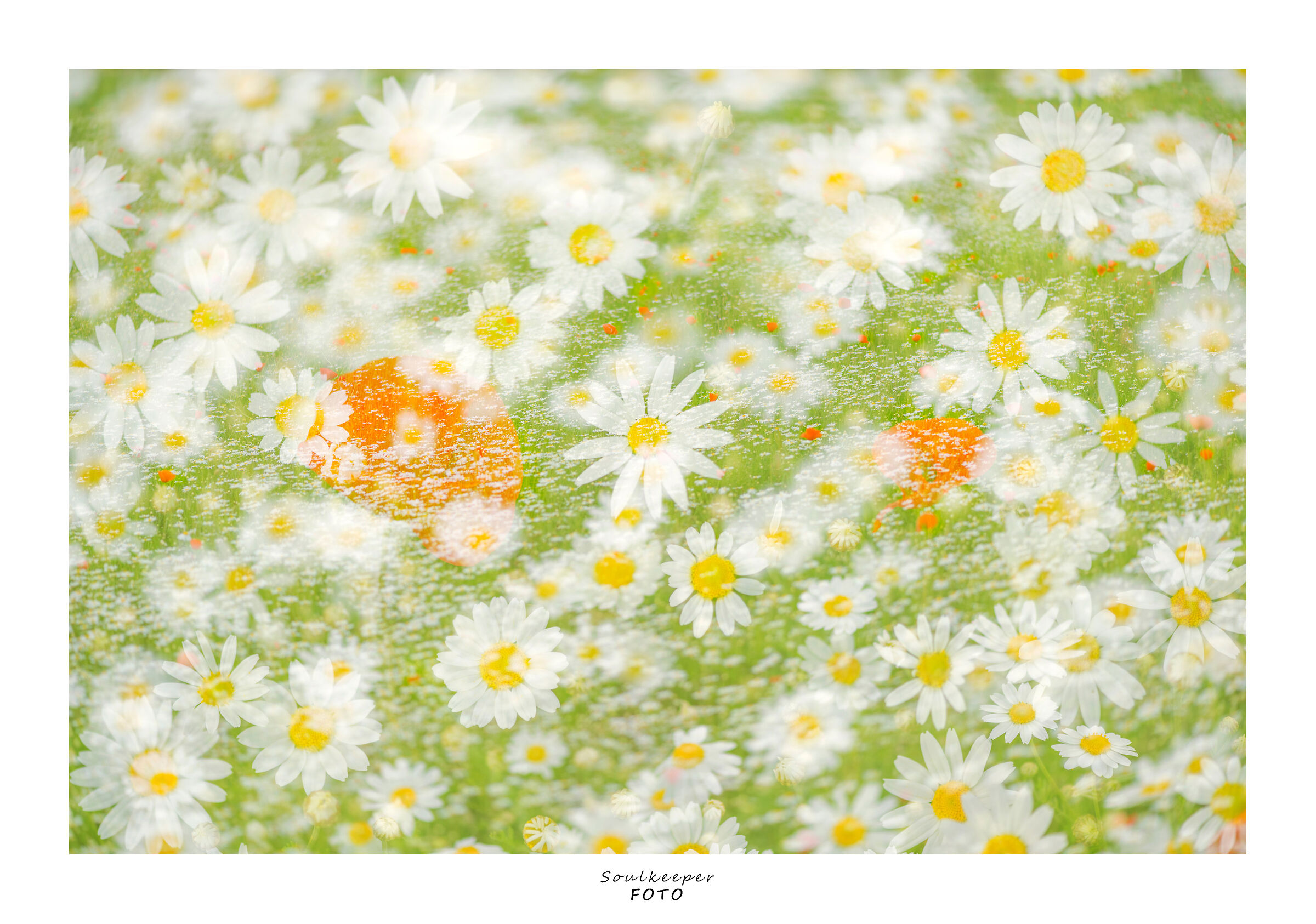 Effervescent spring.