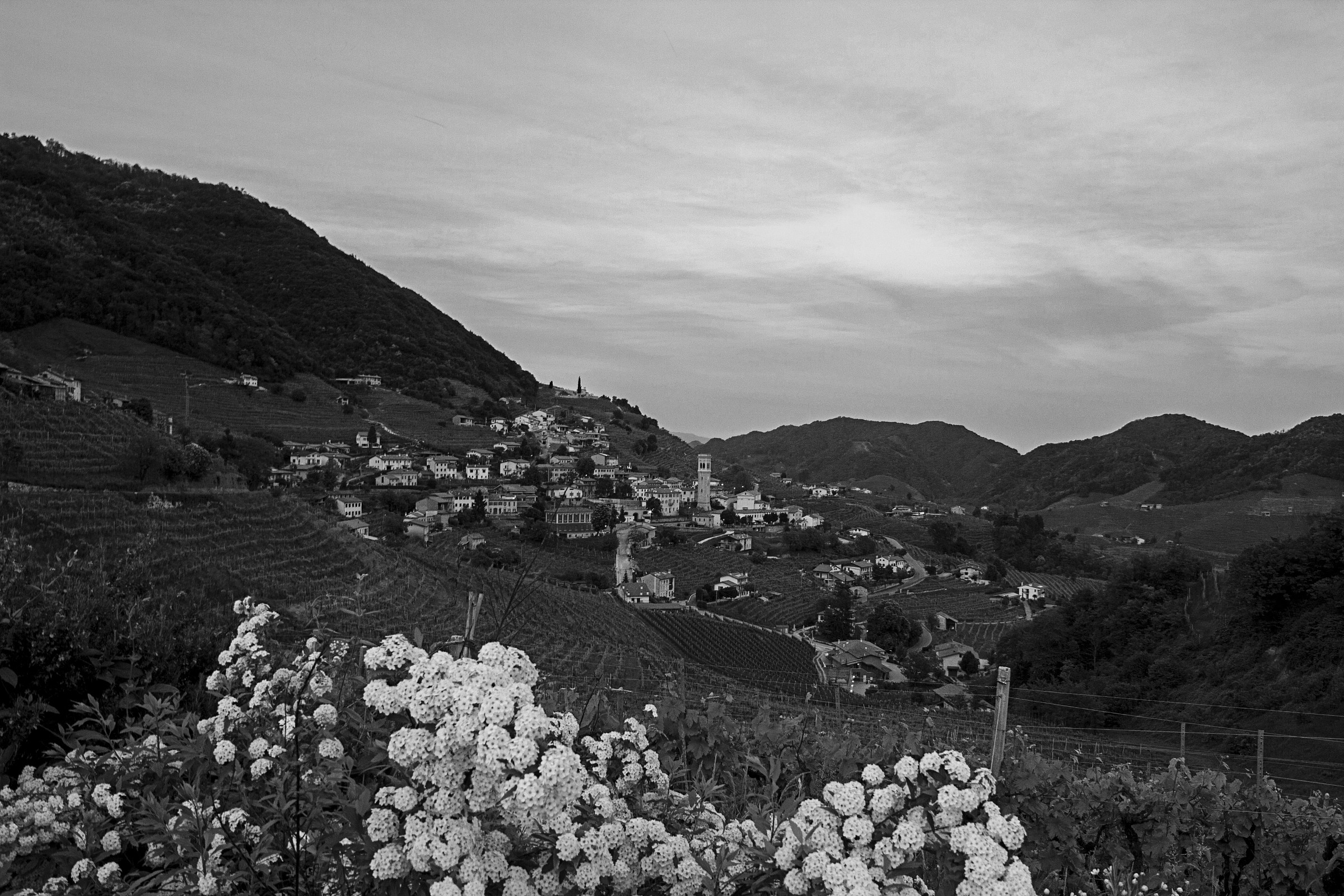 Santo Stefano di Valdobbiadene