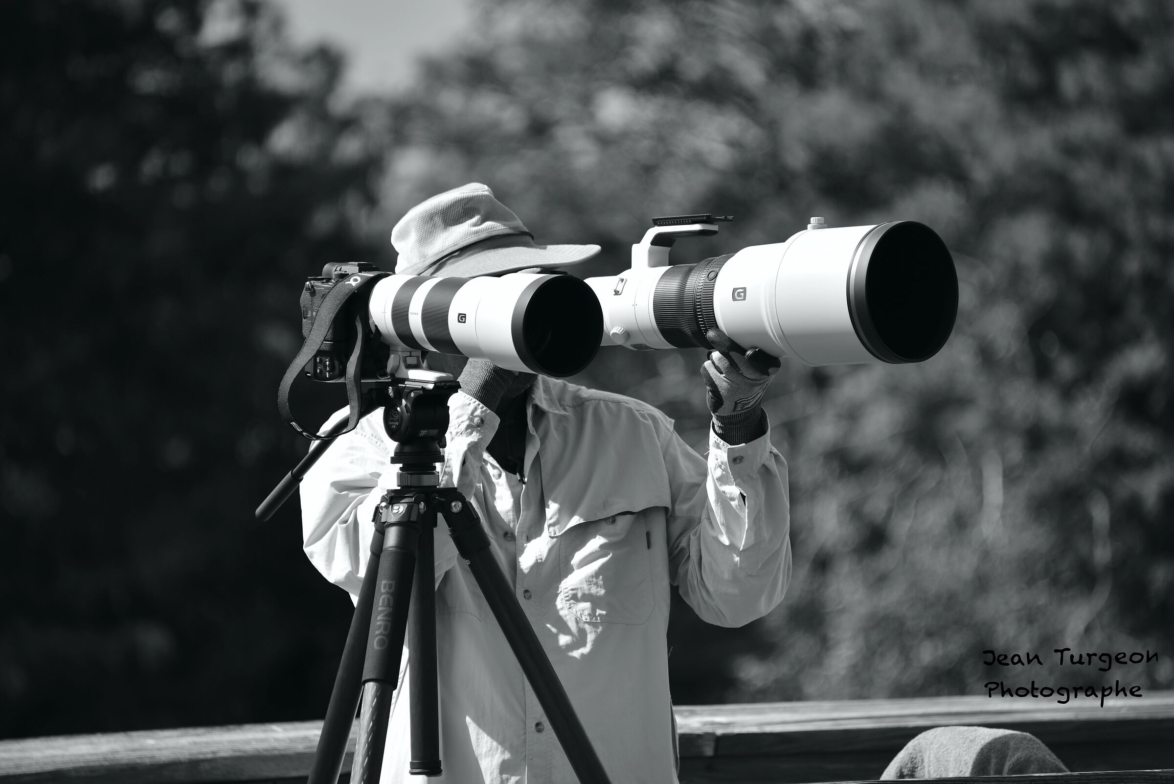 Wakodahatchee Park, incontra un fotografo