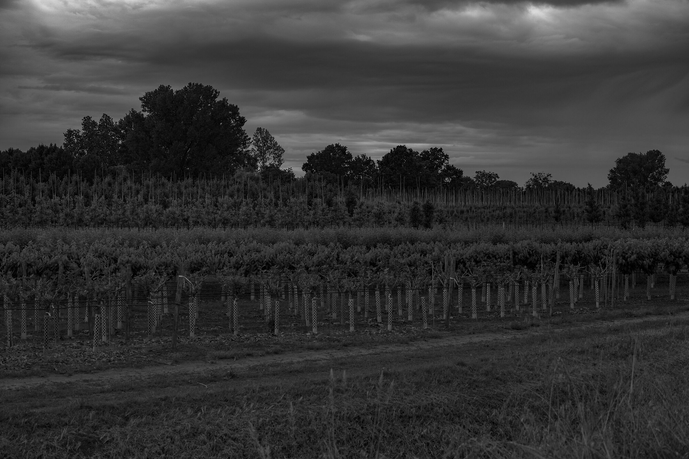 Po Valley campaign before the storm