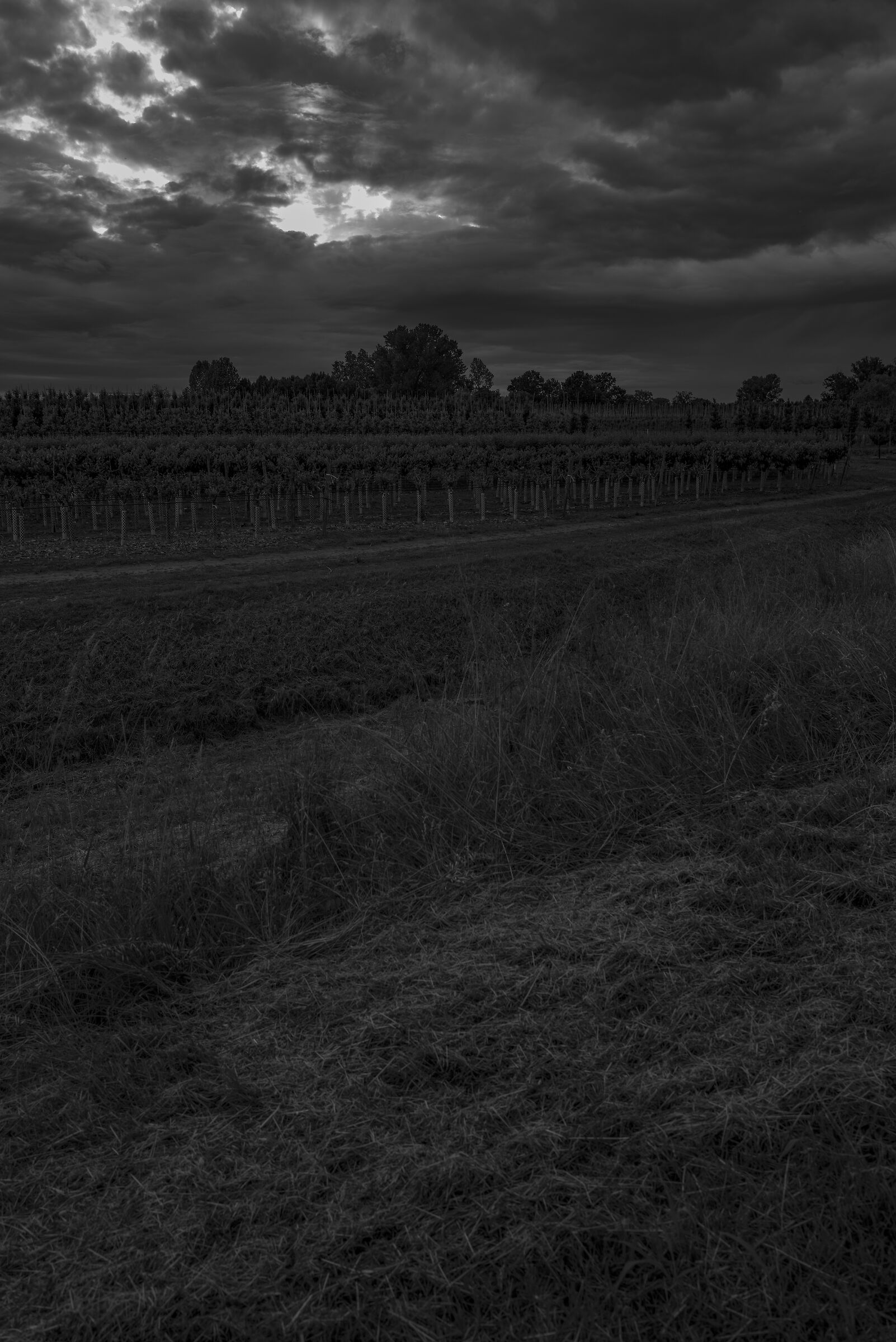 It's evening and the clouds are gathering