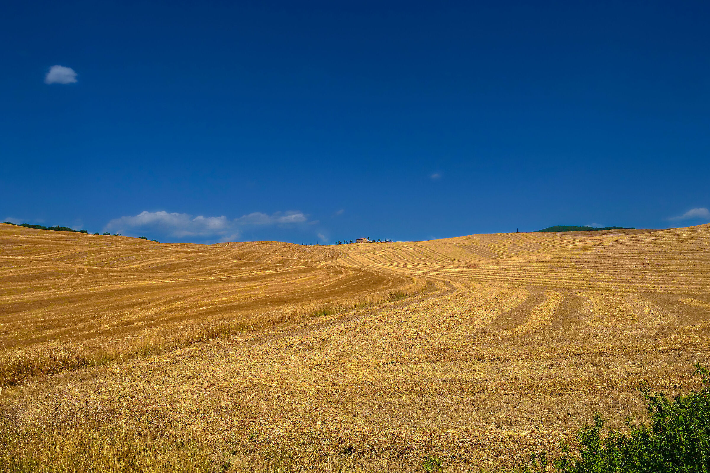 Crete Senesi presso Pienza