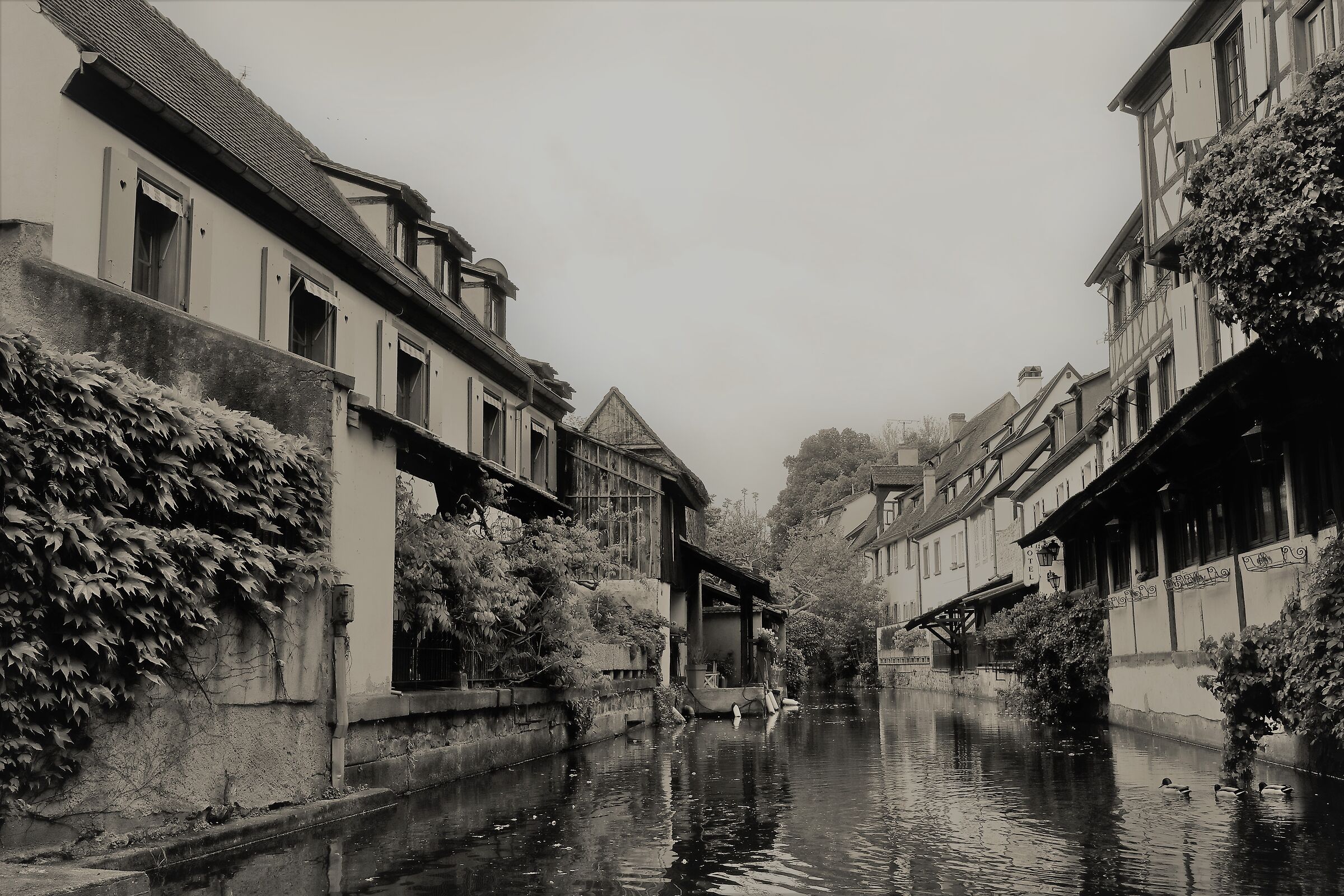 Colmar