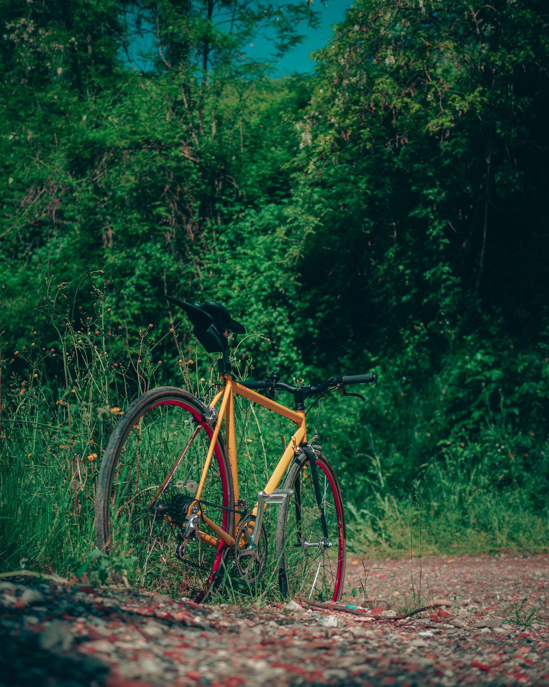 Scapin RS Series Grand Prix