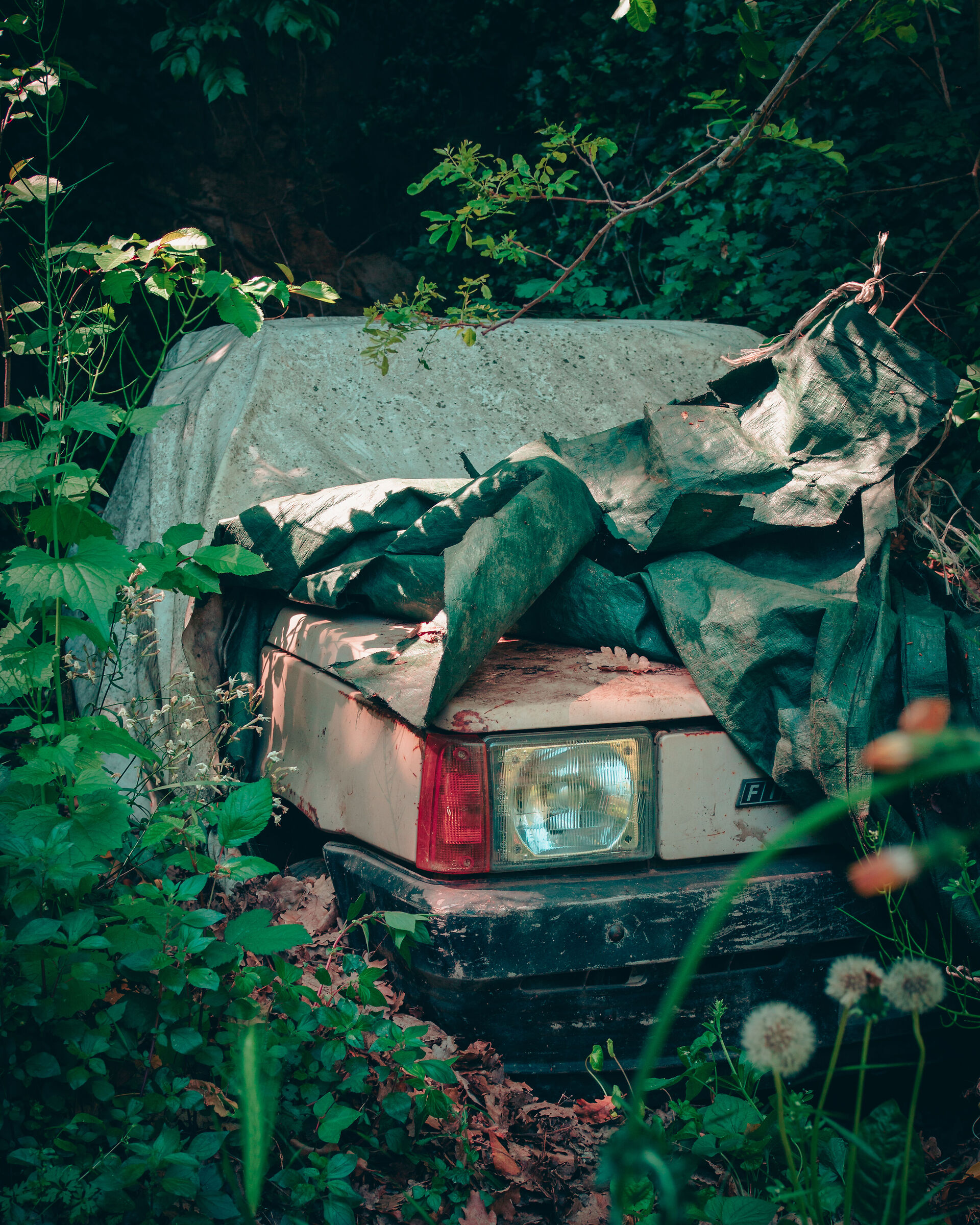 Fiat Panda abandoned