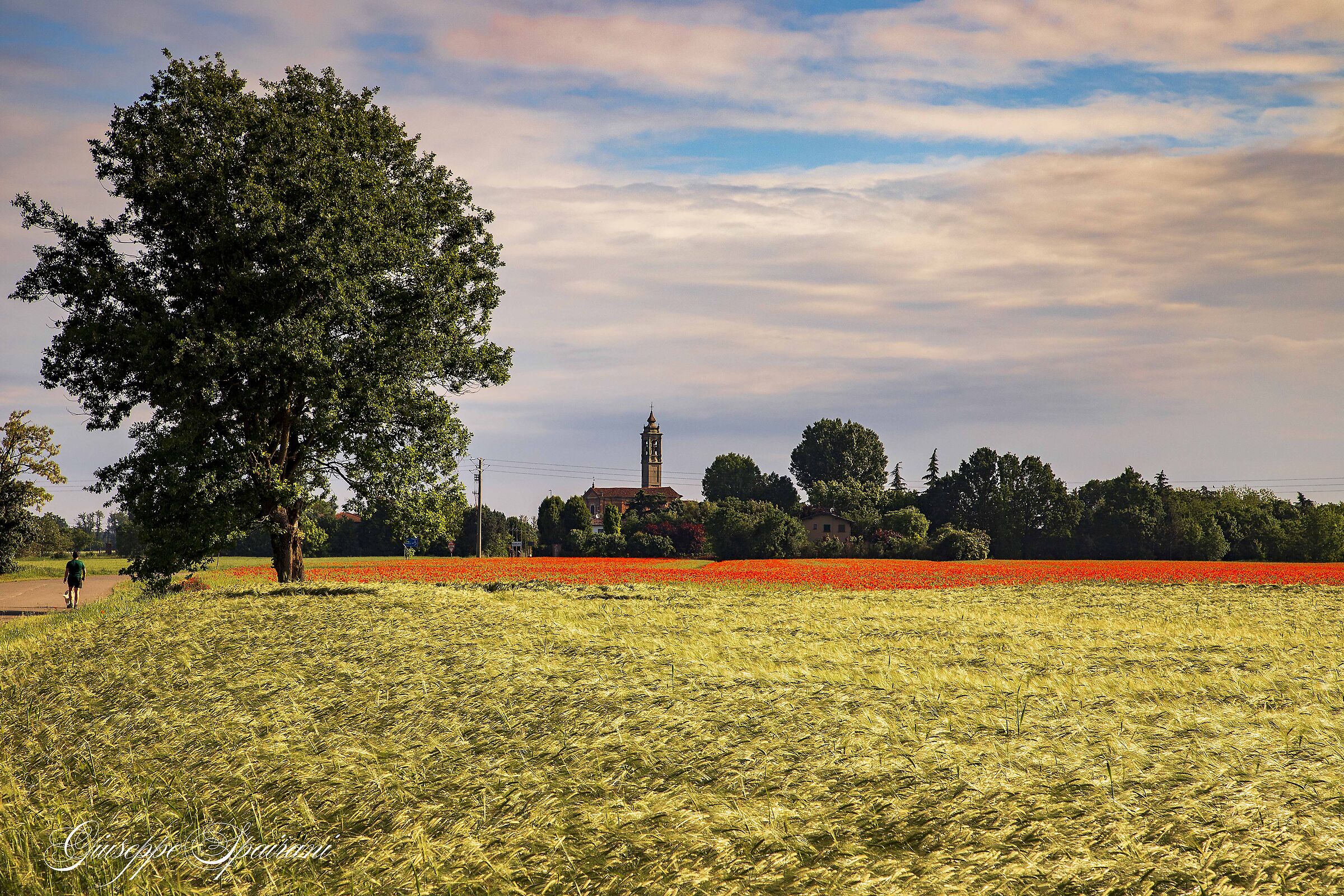 a dawn in the countryside between wind and clouds