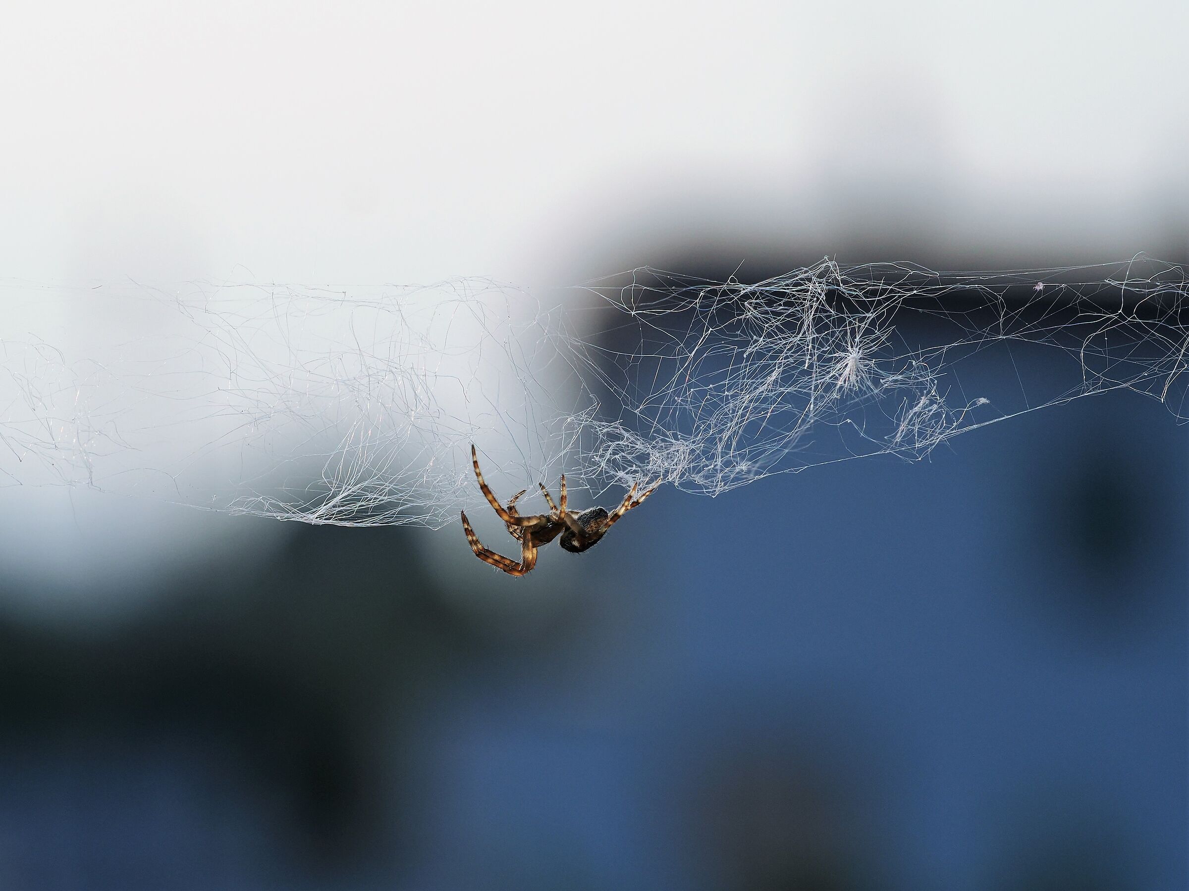 a bit of wind and everything to be redone