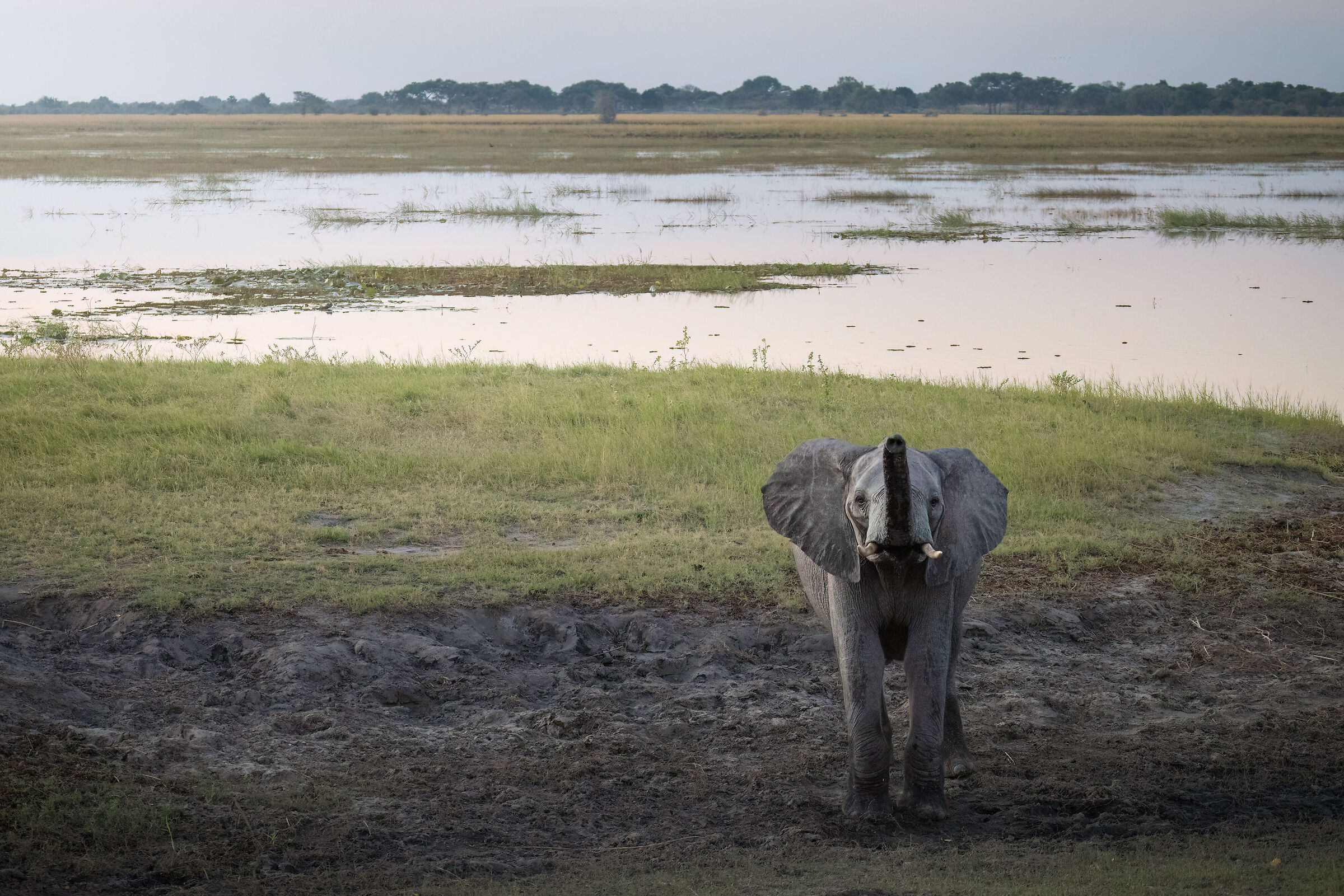 Last lights on the Chobe River