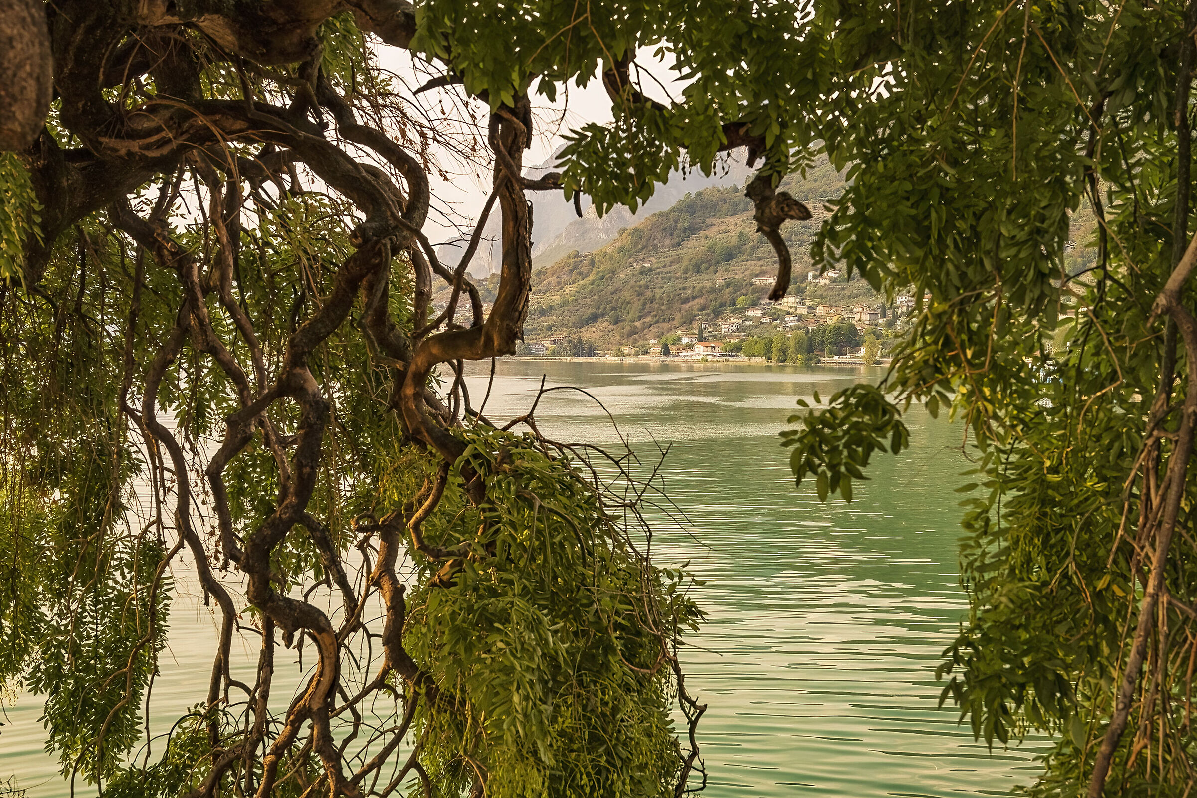 Glimpse of Lake Iseo