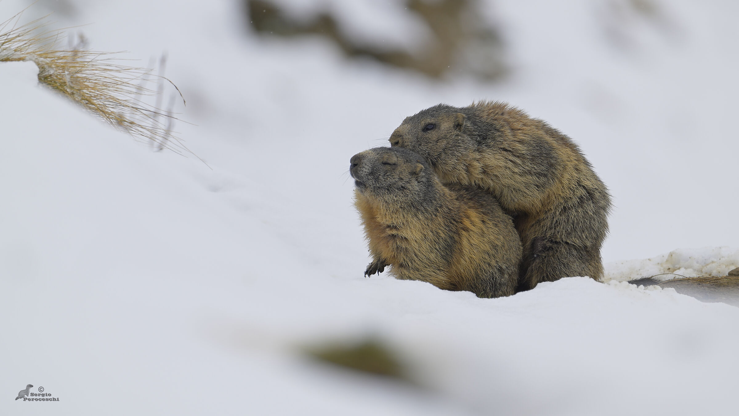 We think about future generations :-)