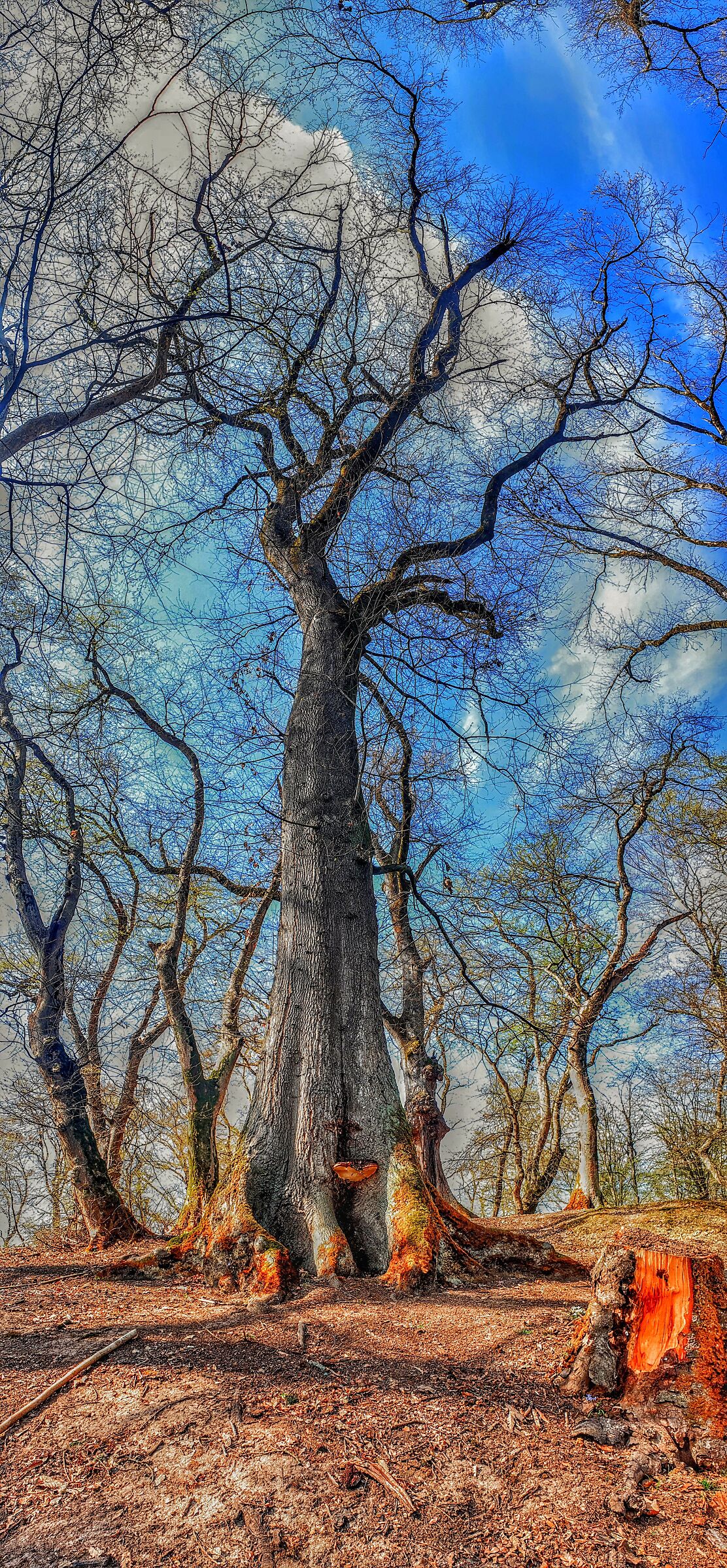 Mazandaran