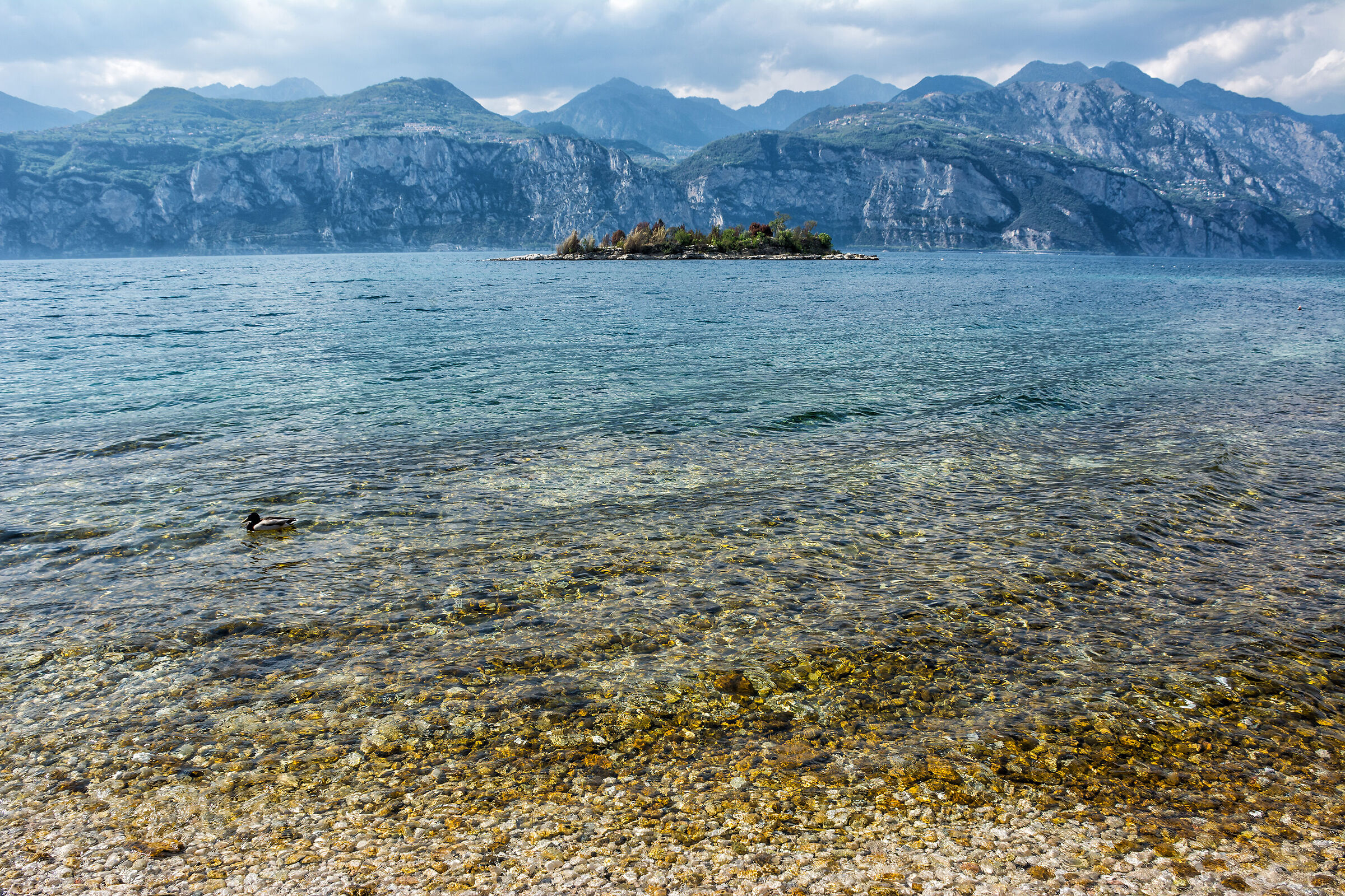 Un'isoletta nel lago