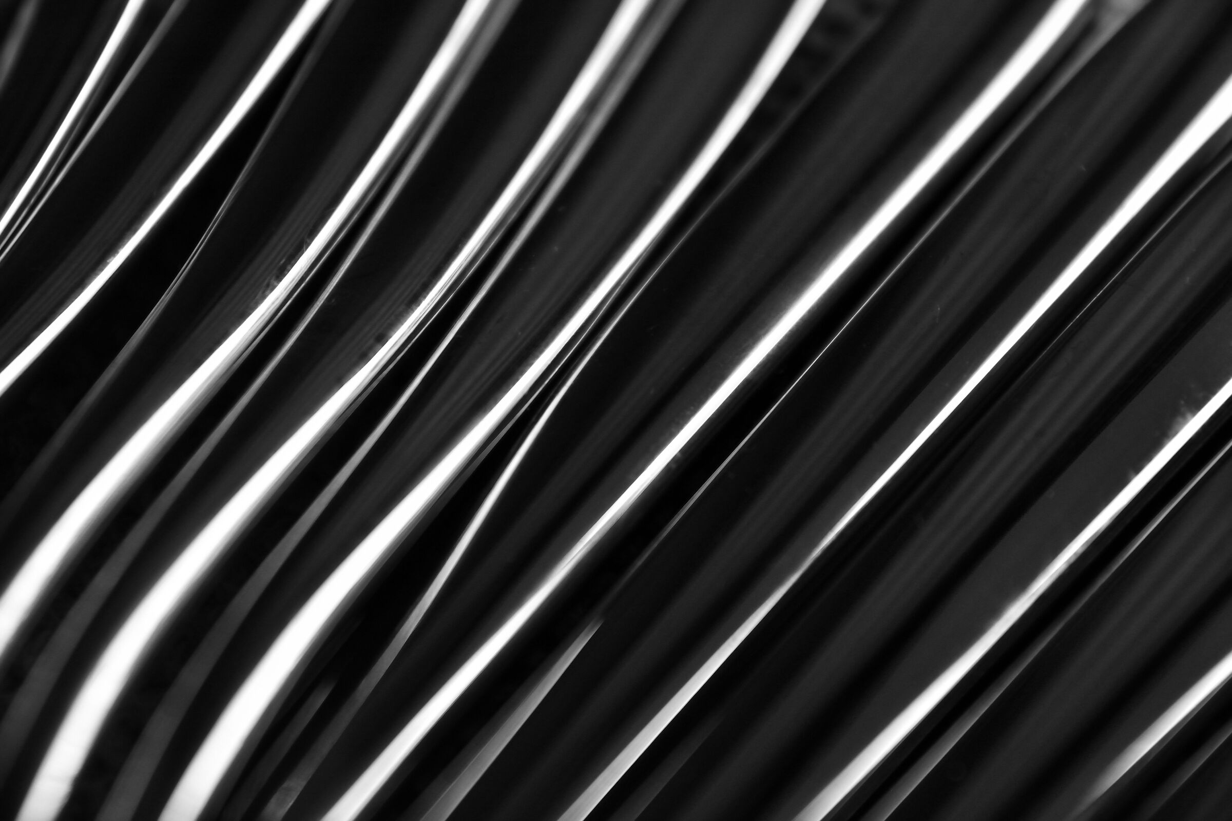 Untitled Photo