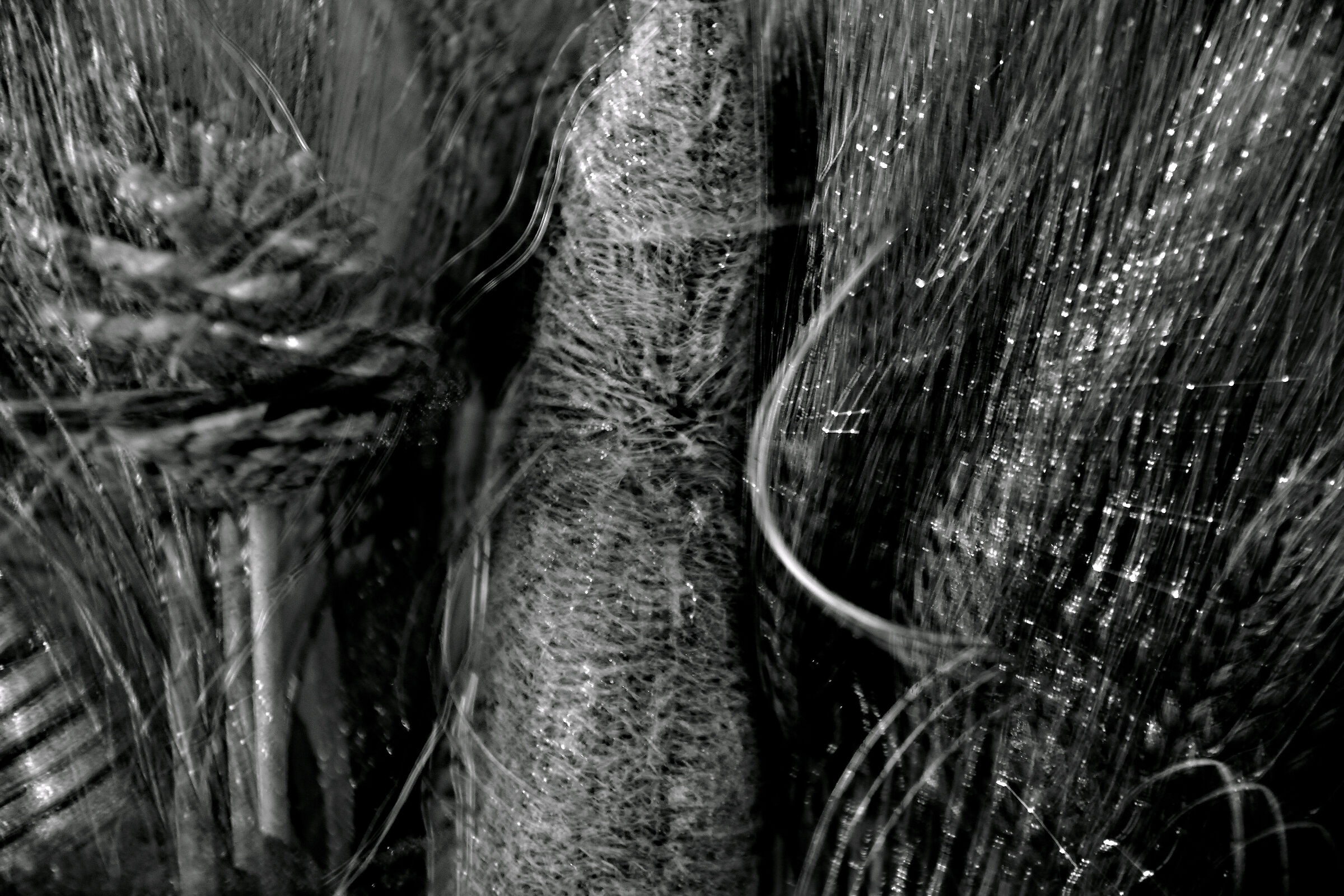 Untitled Photo