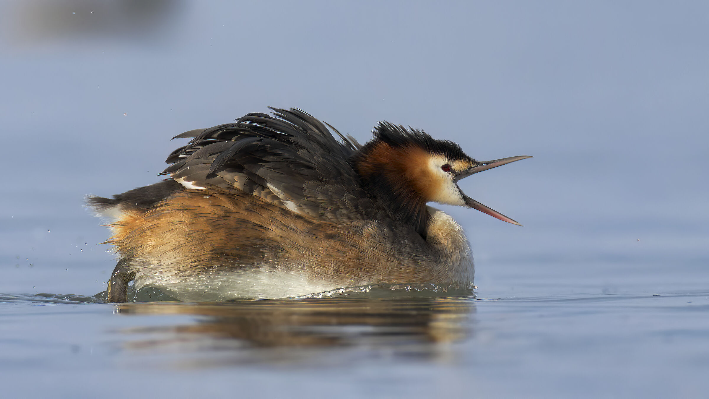 svassi sul garda la tramonto3