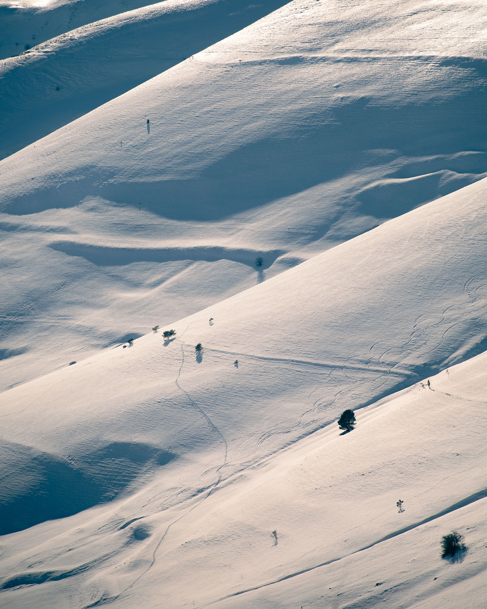 Castelluccio Di Norcia