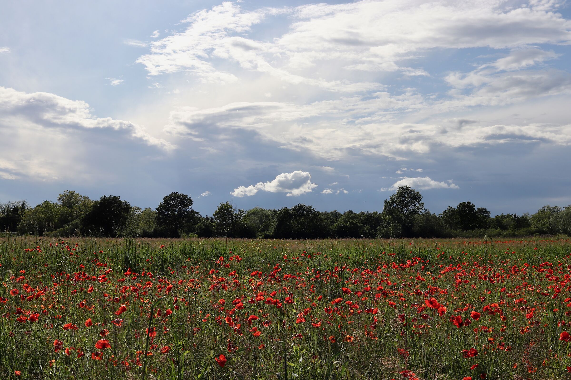 Il Preval tra sole e pioggia