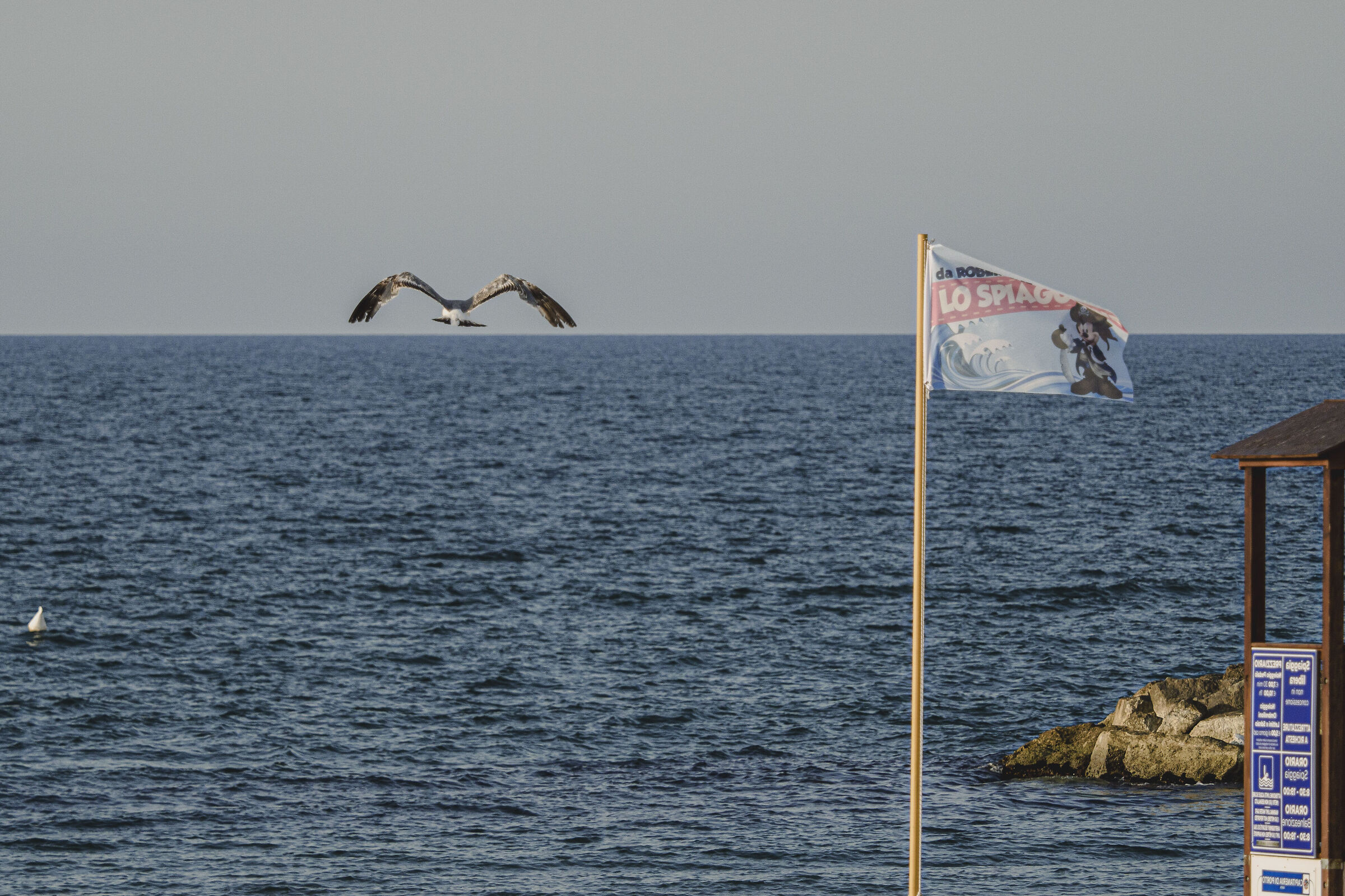 Nessun limite eccetto il cielo (Miguel de Cervantes)