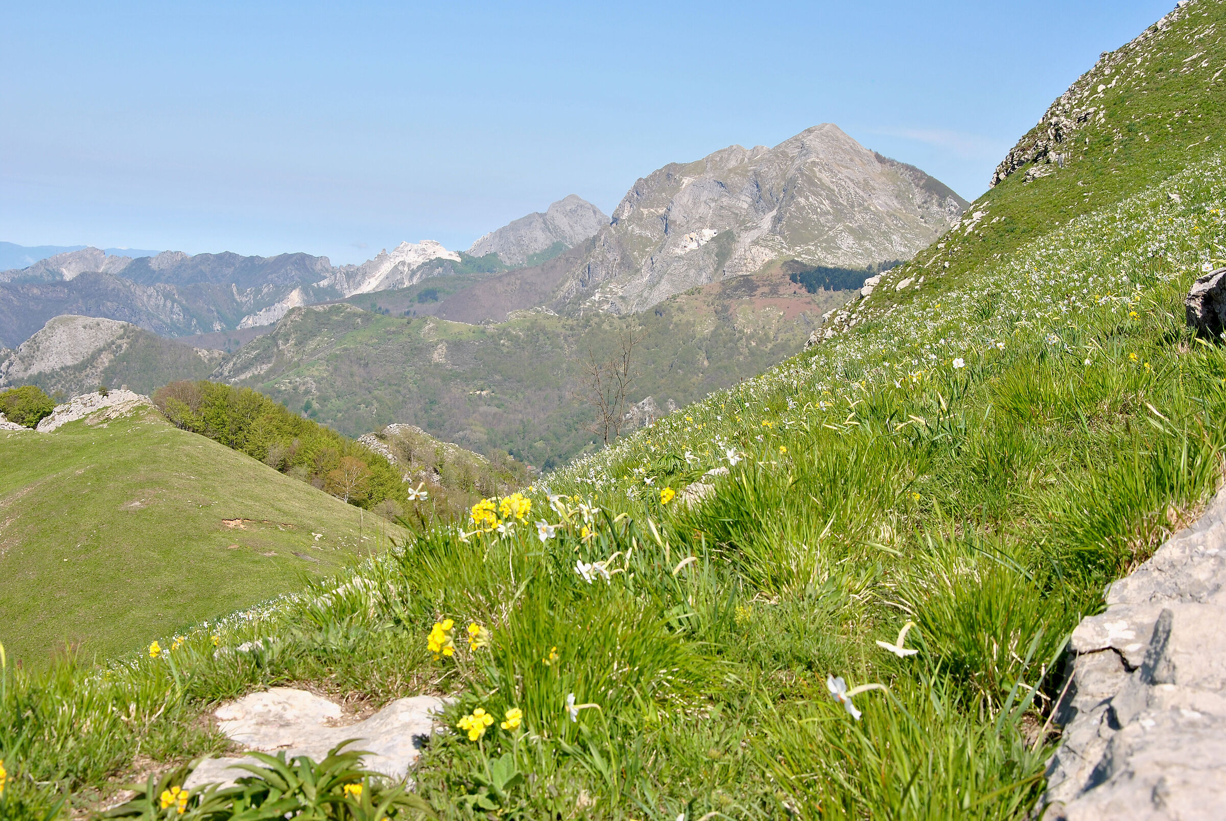 Mount Corchia from the meadows of Monte Croce
