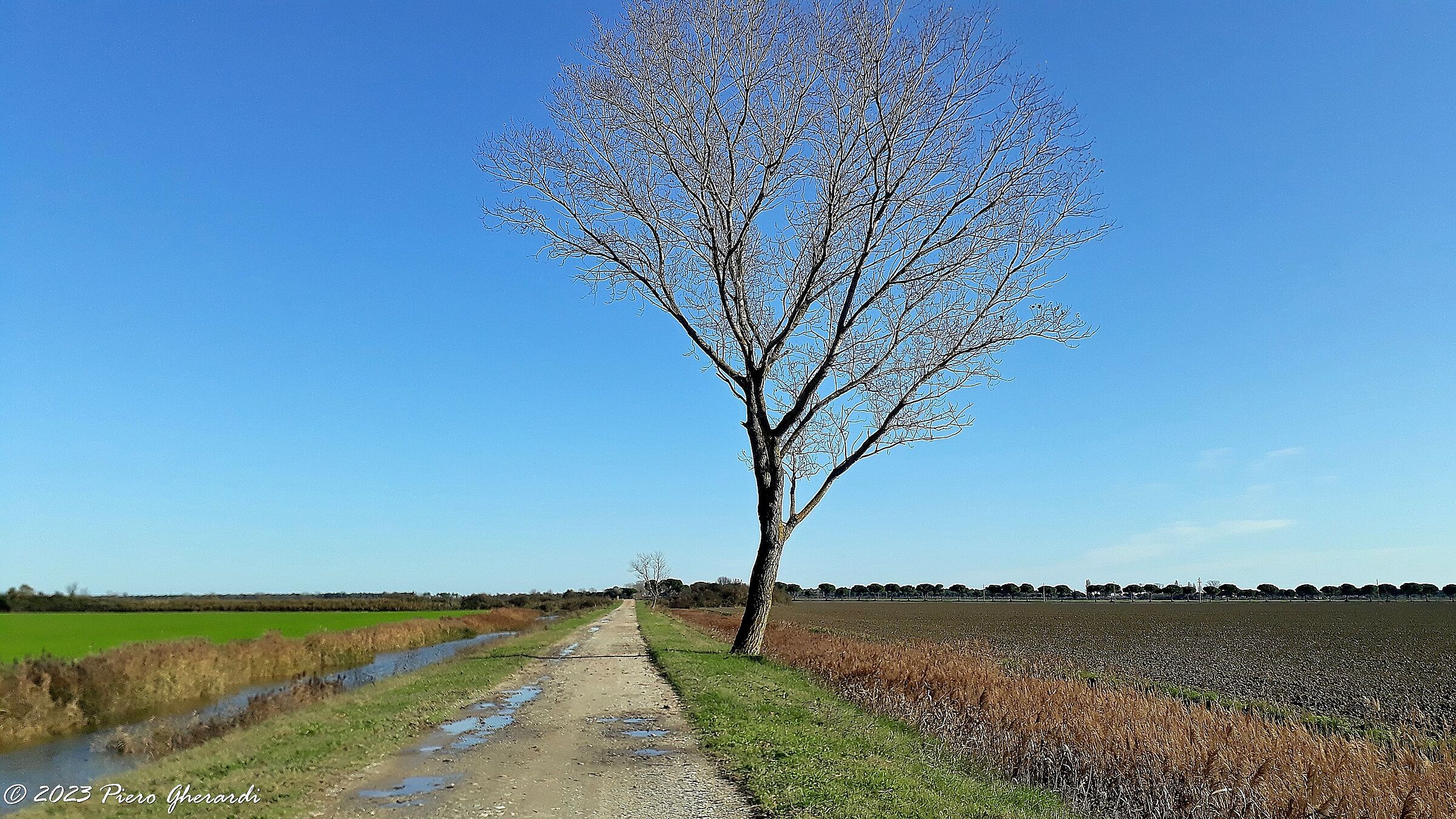 Campagna