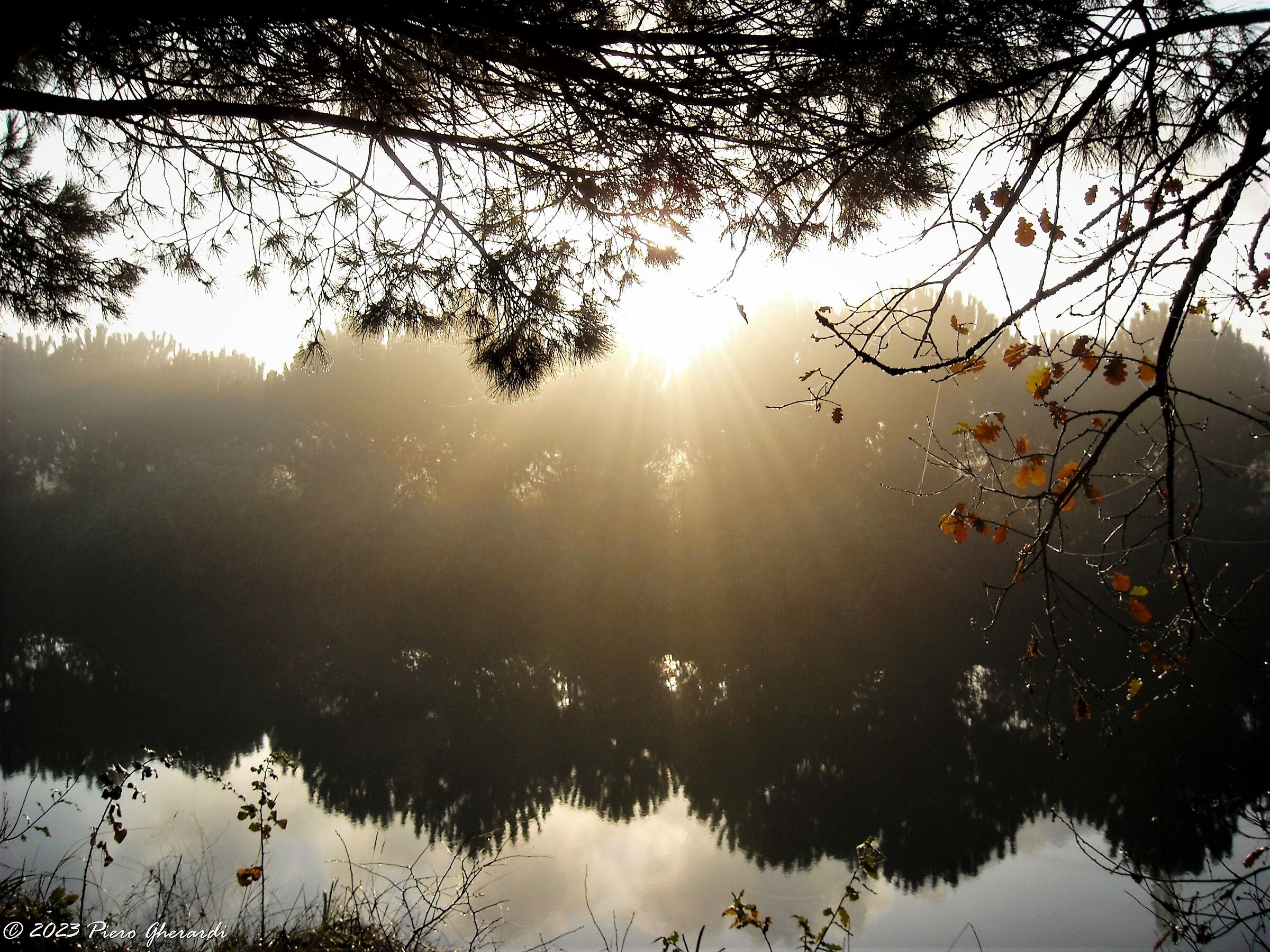 Riflessi