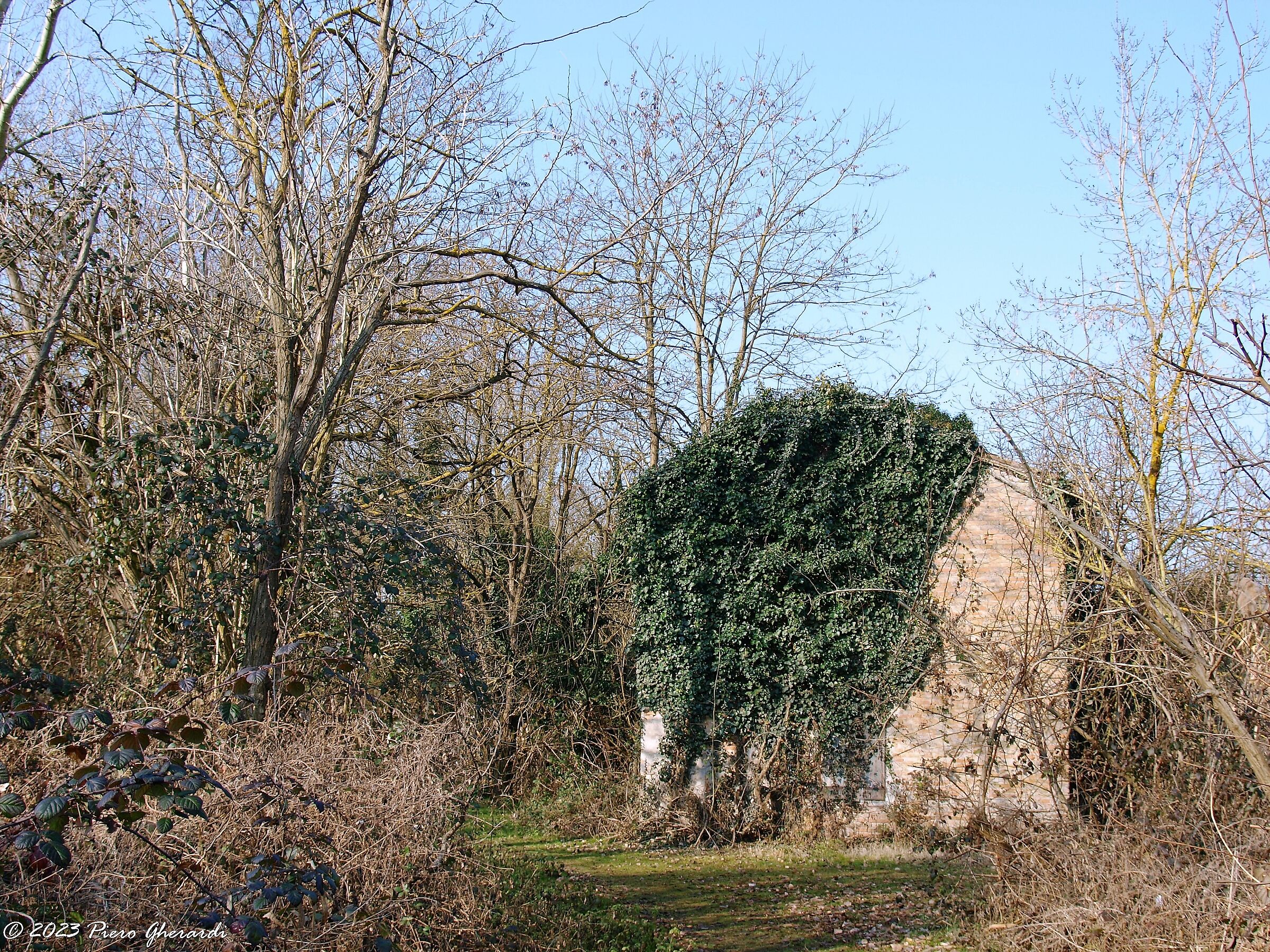 Ruderi
