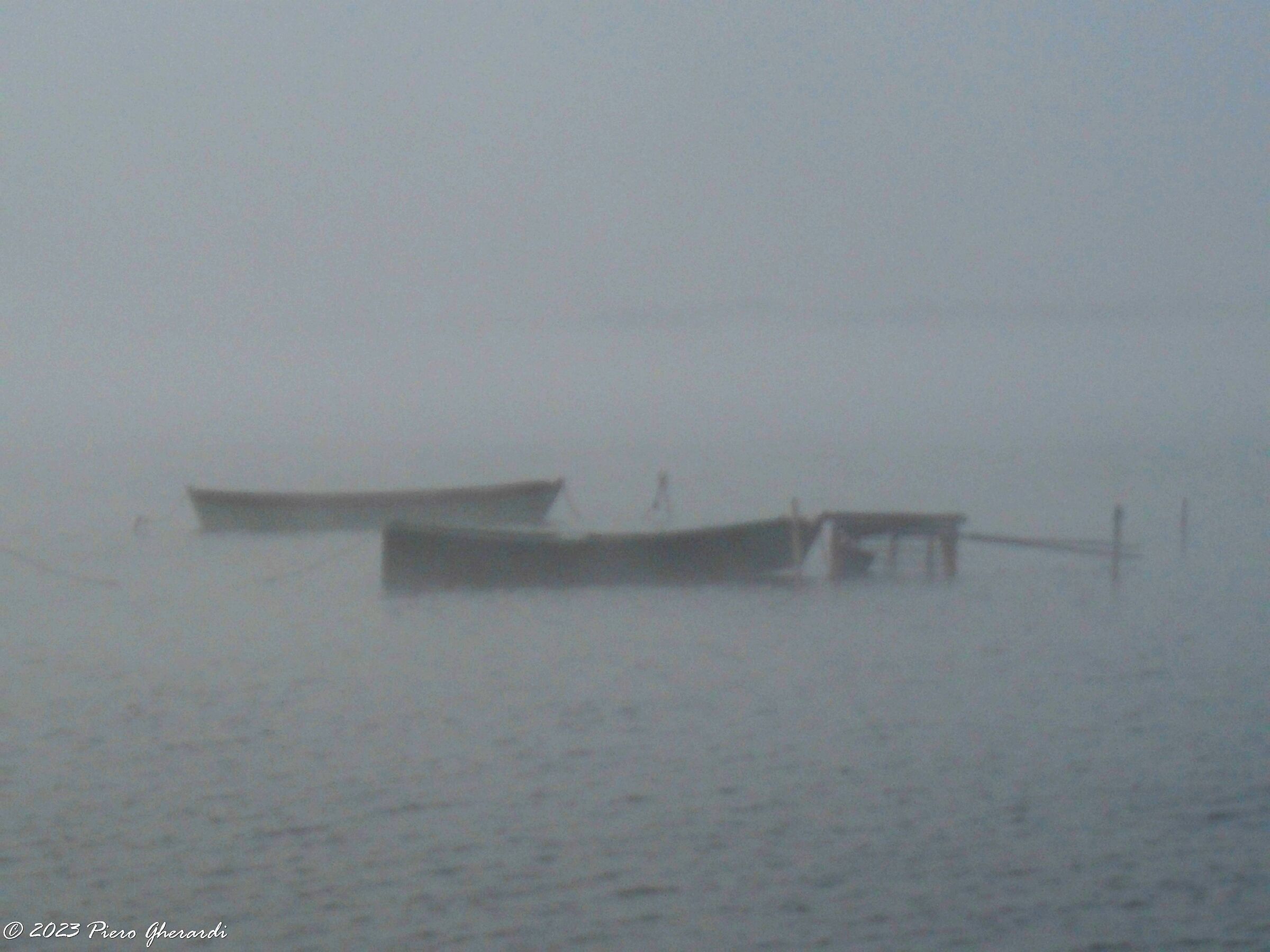 Nebbia