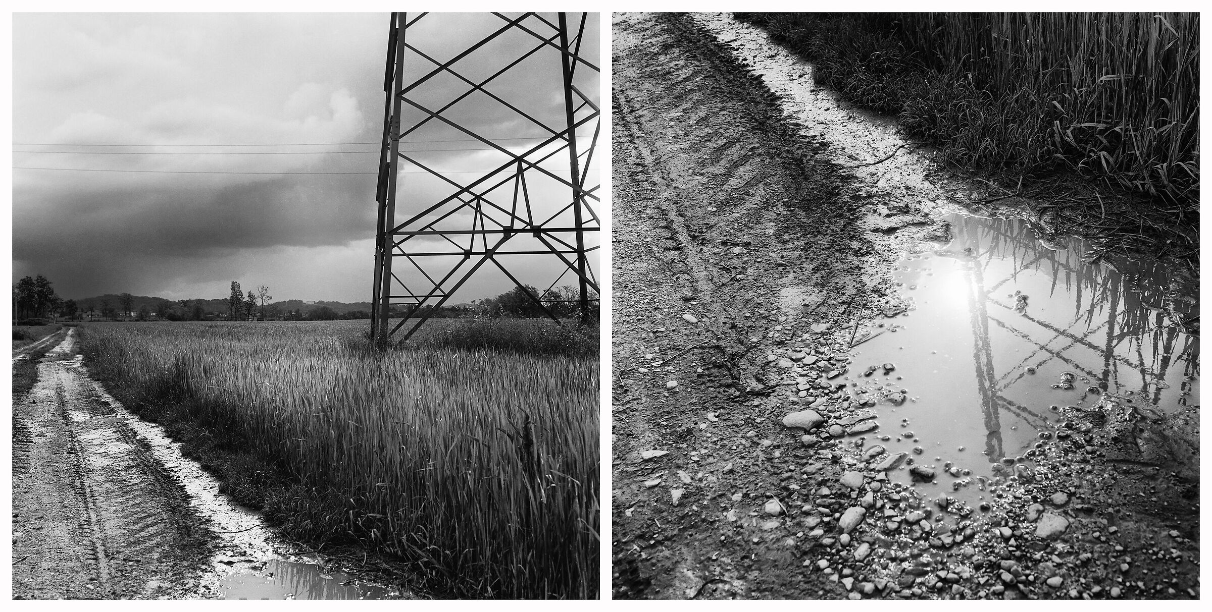 Intrusioni metalliche