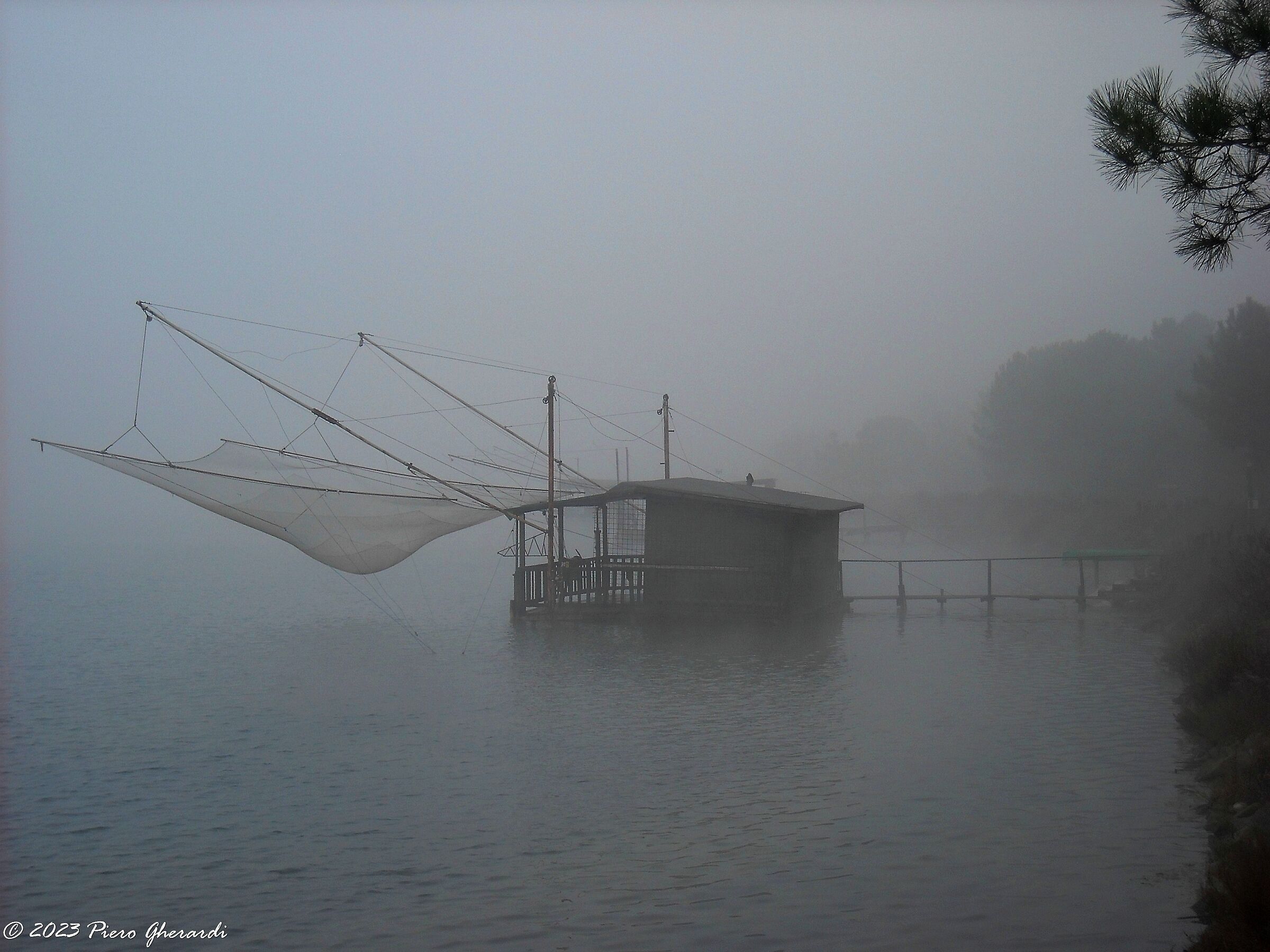 Nebbia