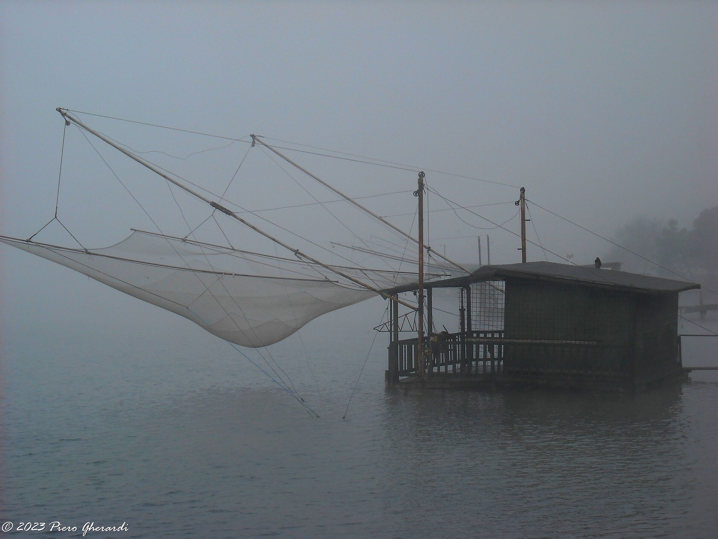 Nebbia