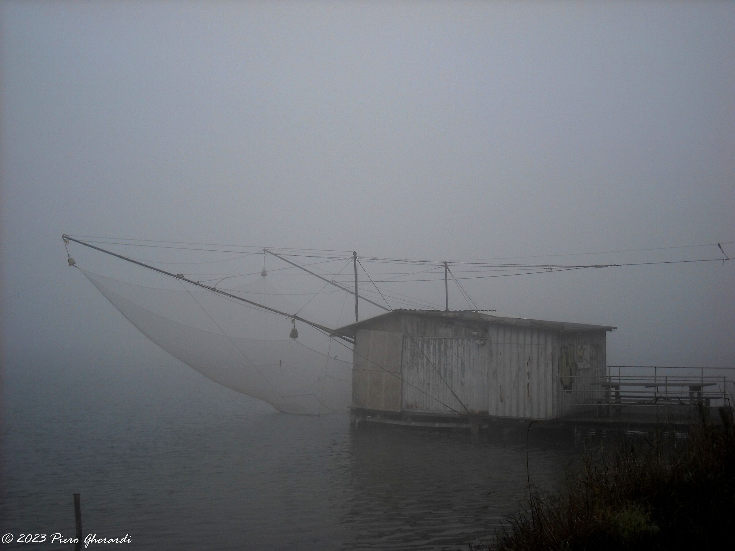 Nebbia