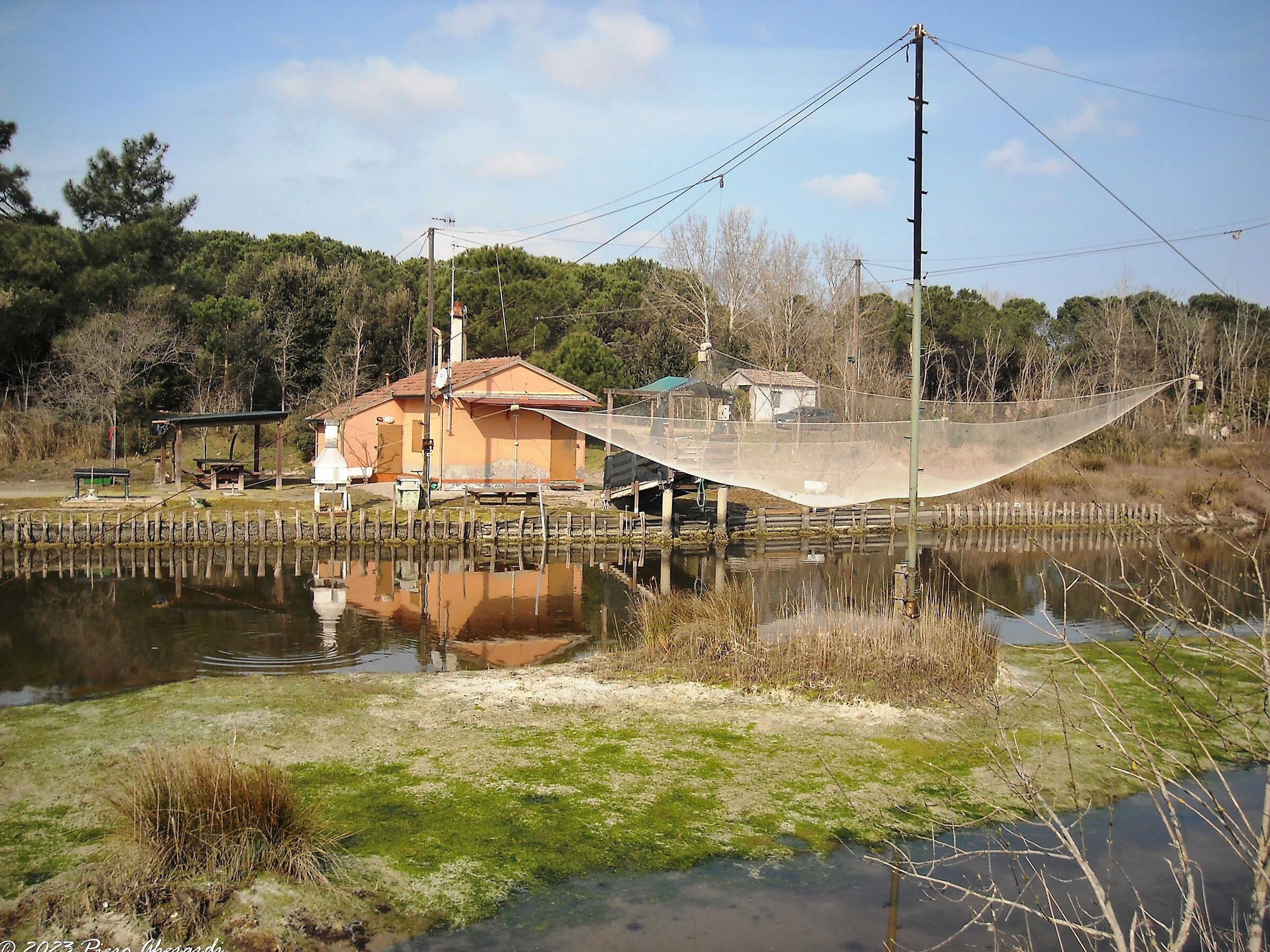 Capanni