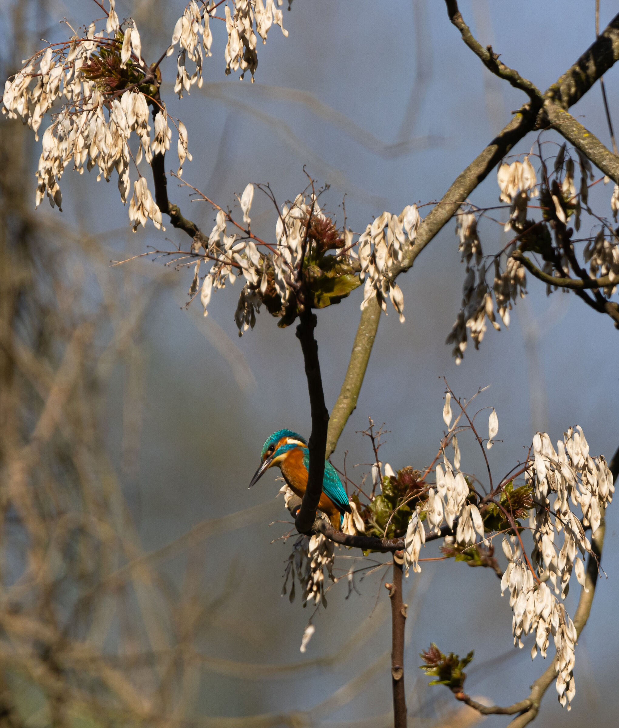 In the midst of flowers