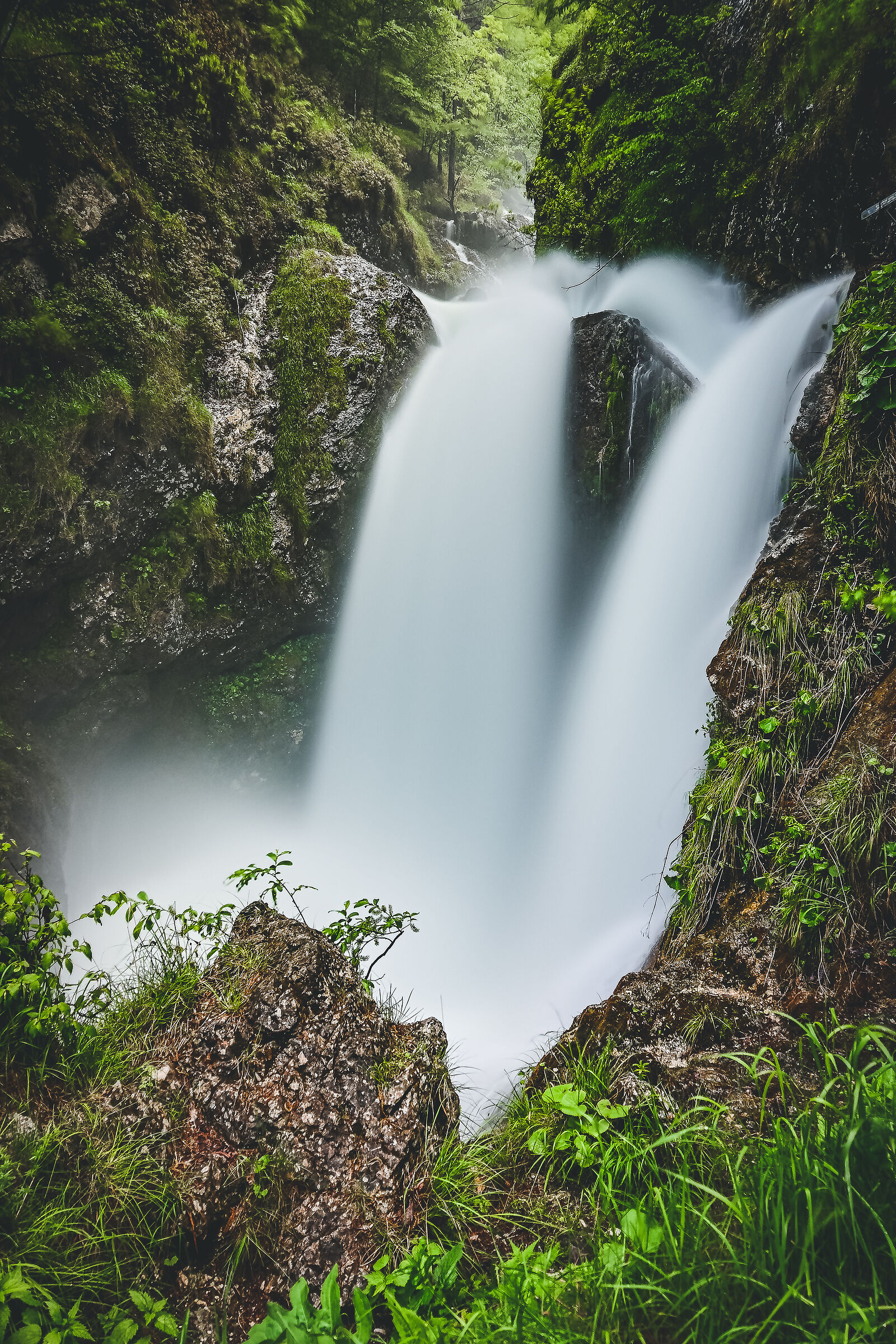 Owl waterfall