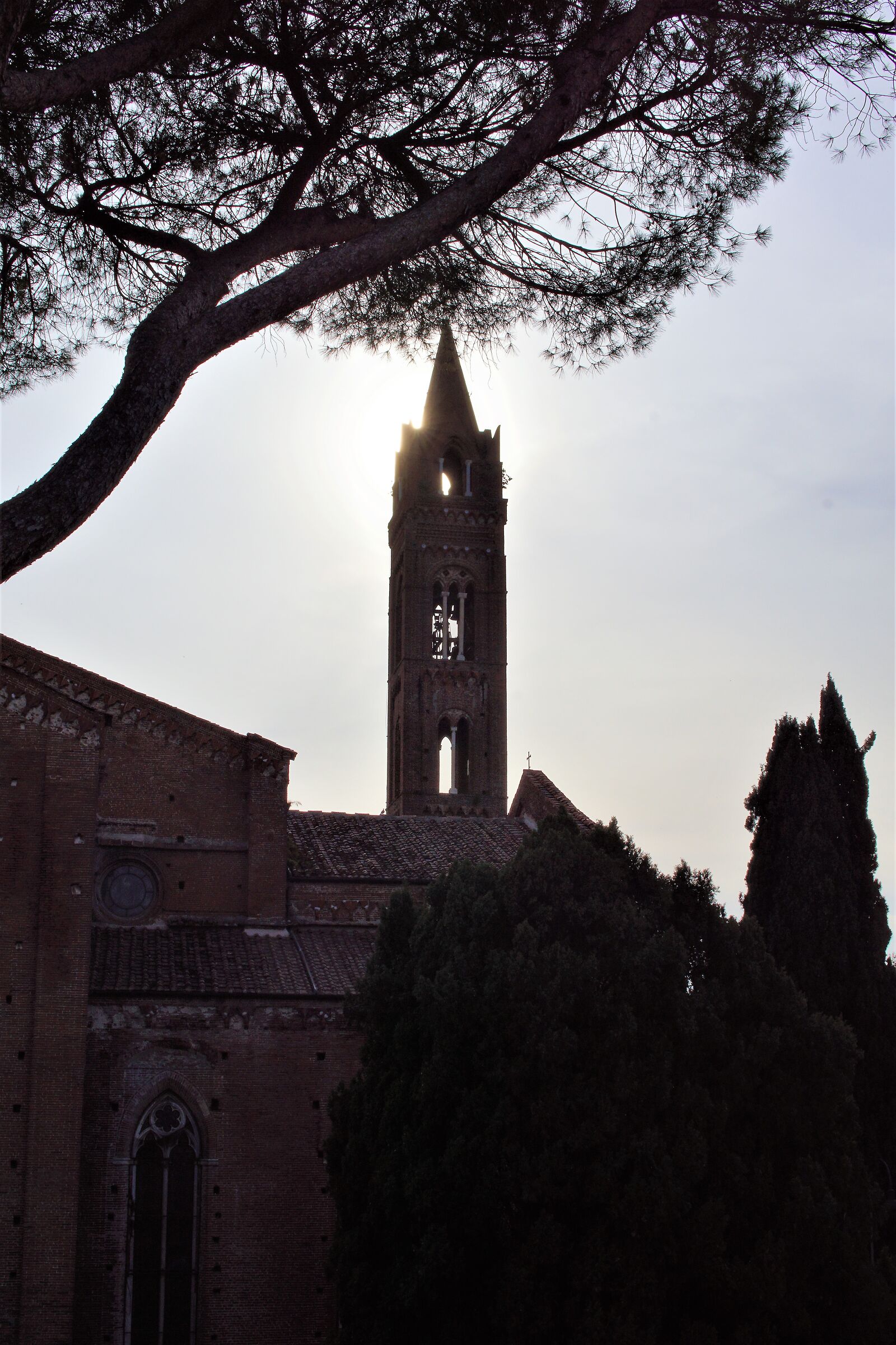 Senza Titolo