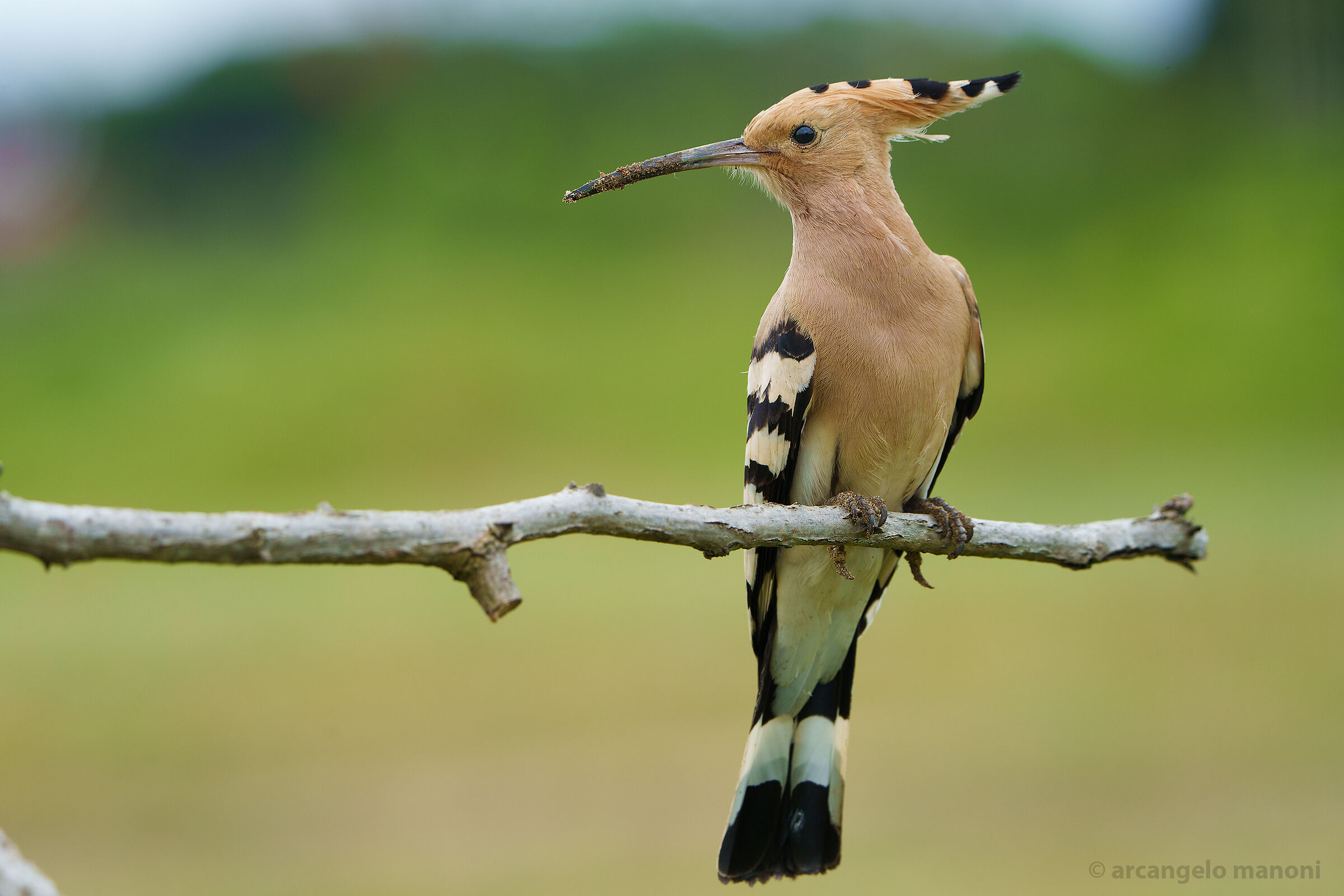 The signs of work to procure food