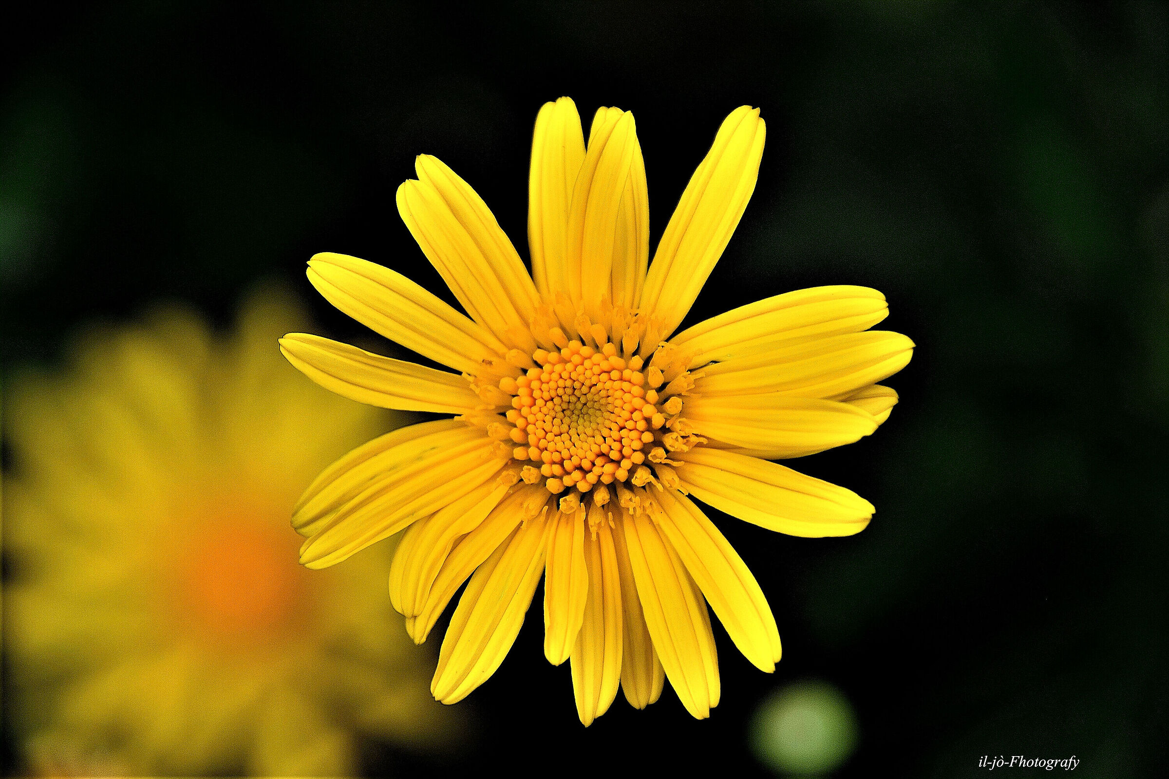 Untitled Photo