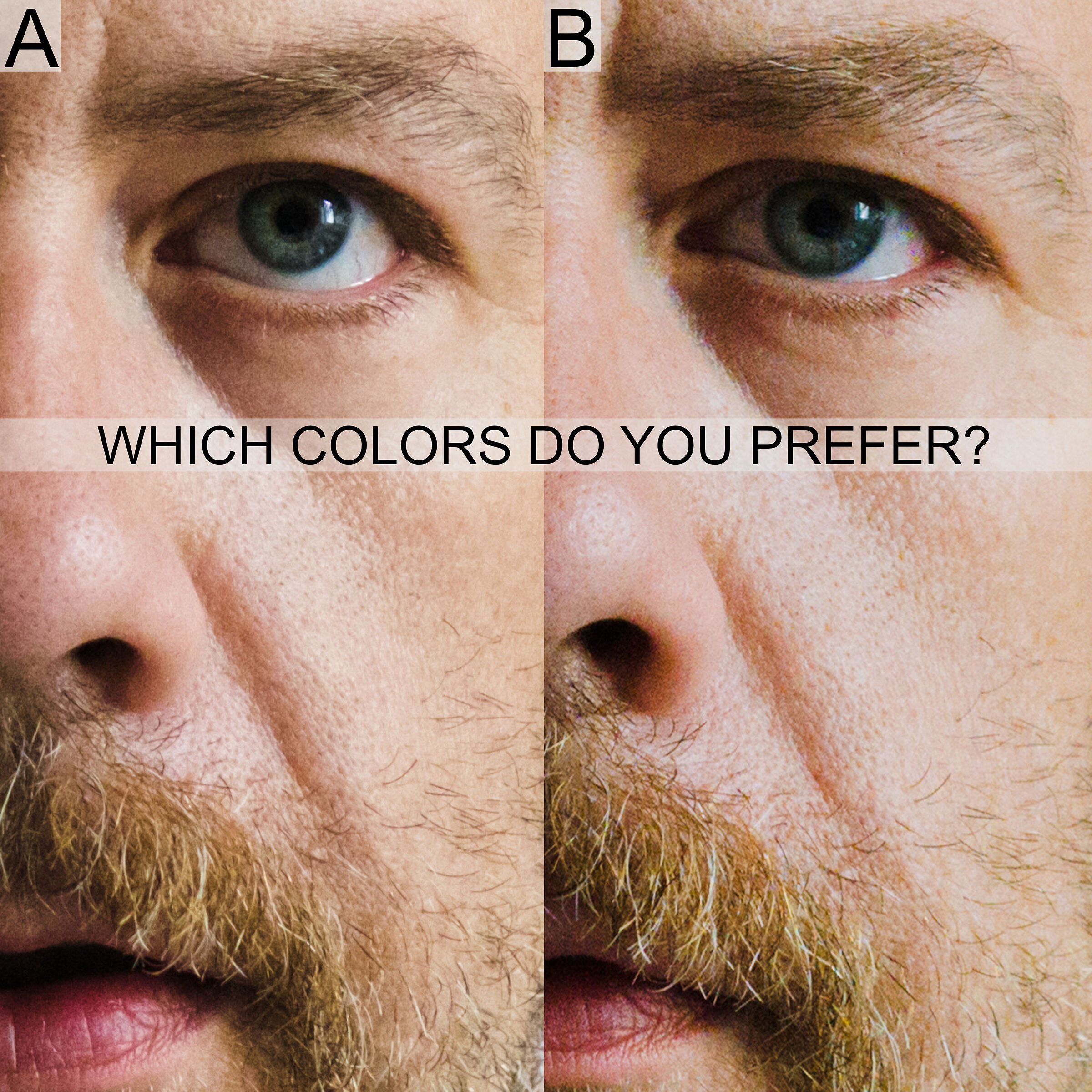 Which colors do you prefer?