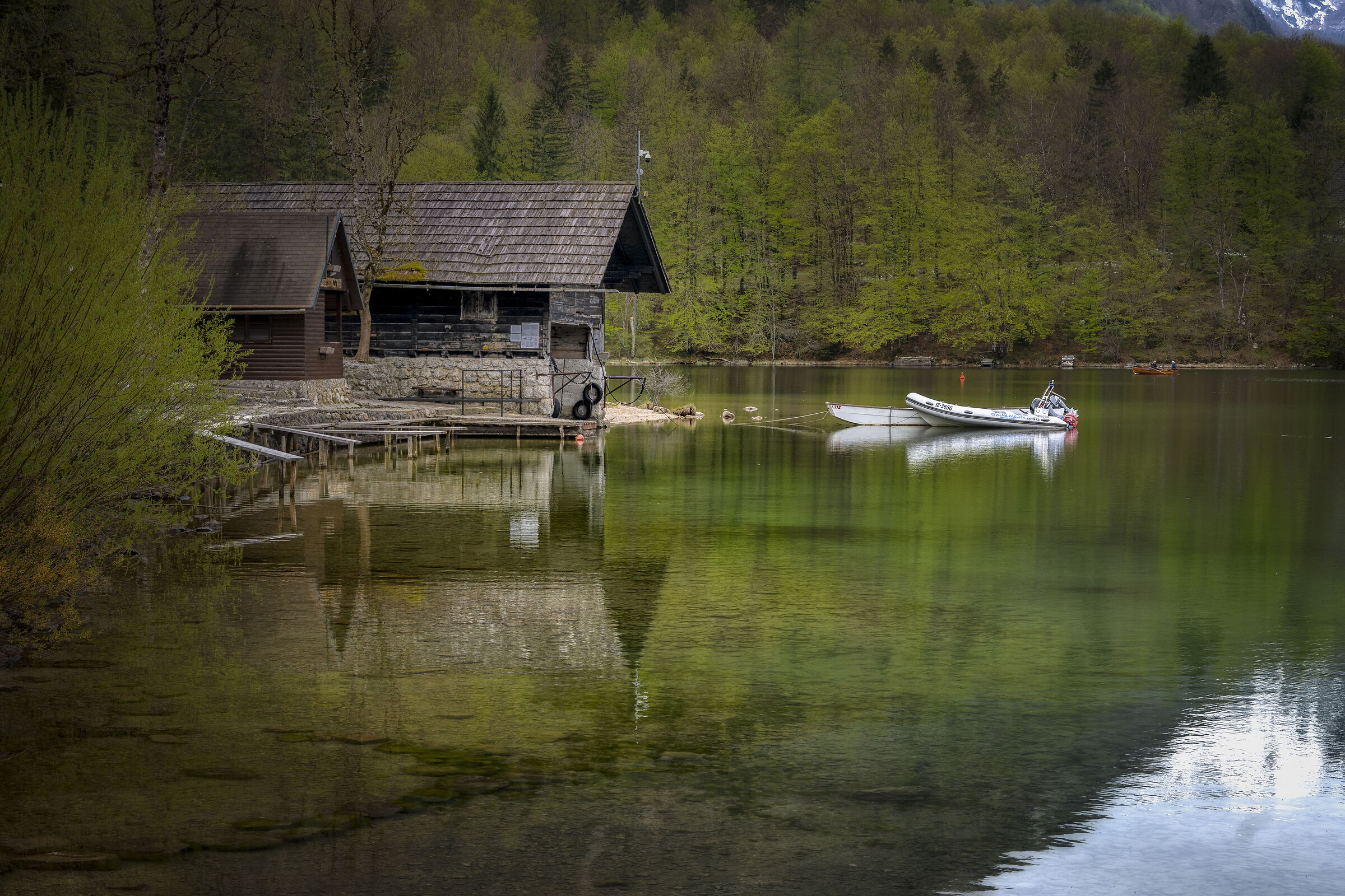 Lake Bohinj Slovenia