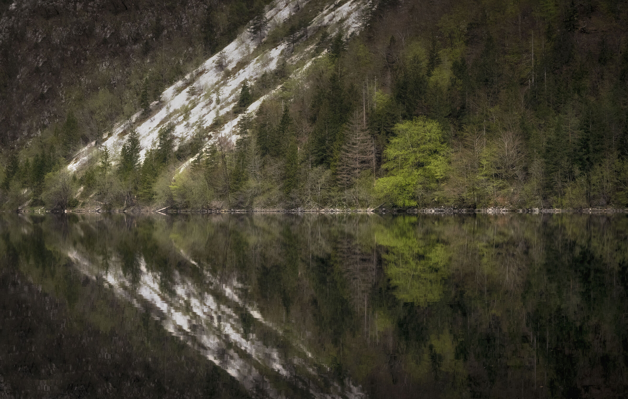 Lake Bohinj Slovenia