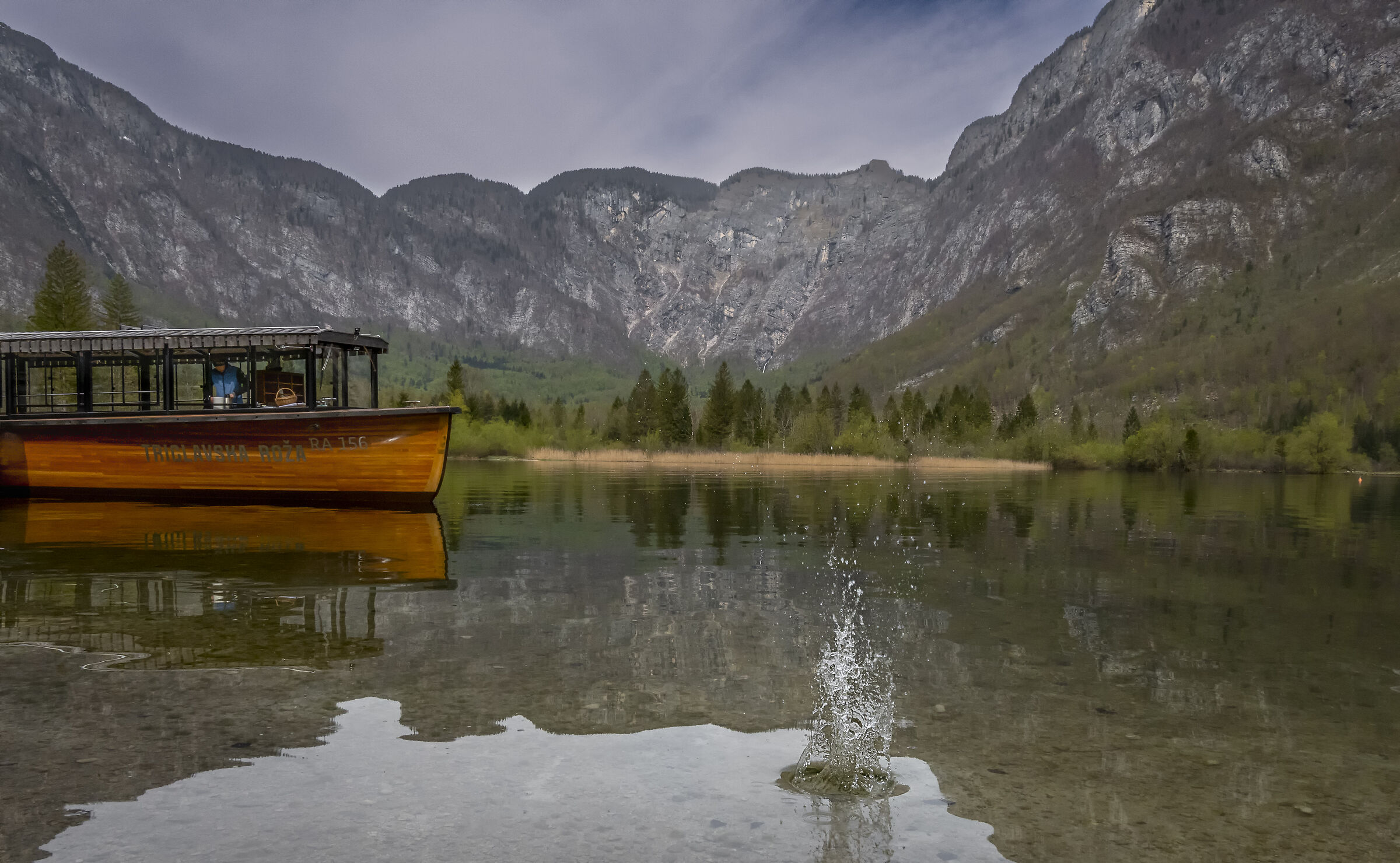 Lake Bohinj Slovenia