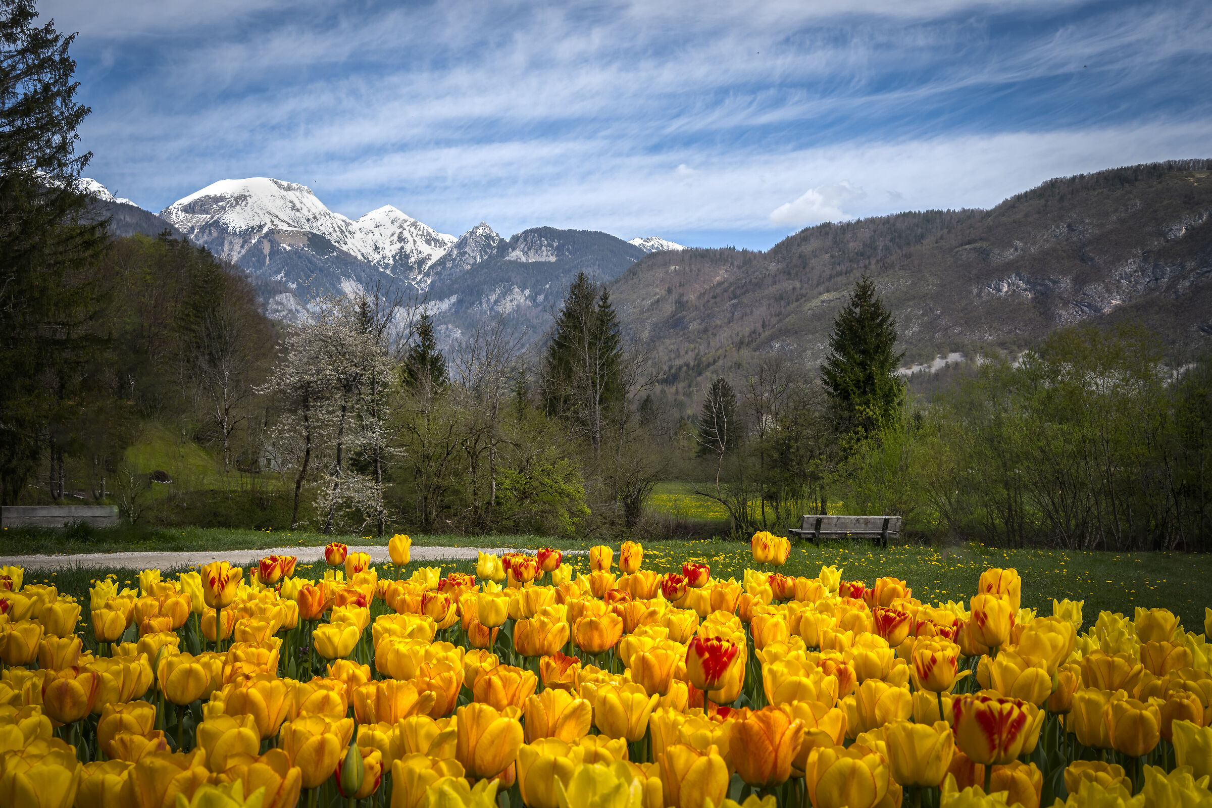 Near Lake Bohinj Slovenia