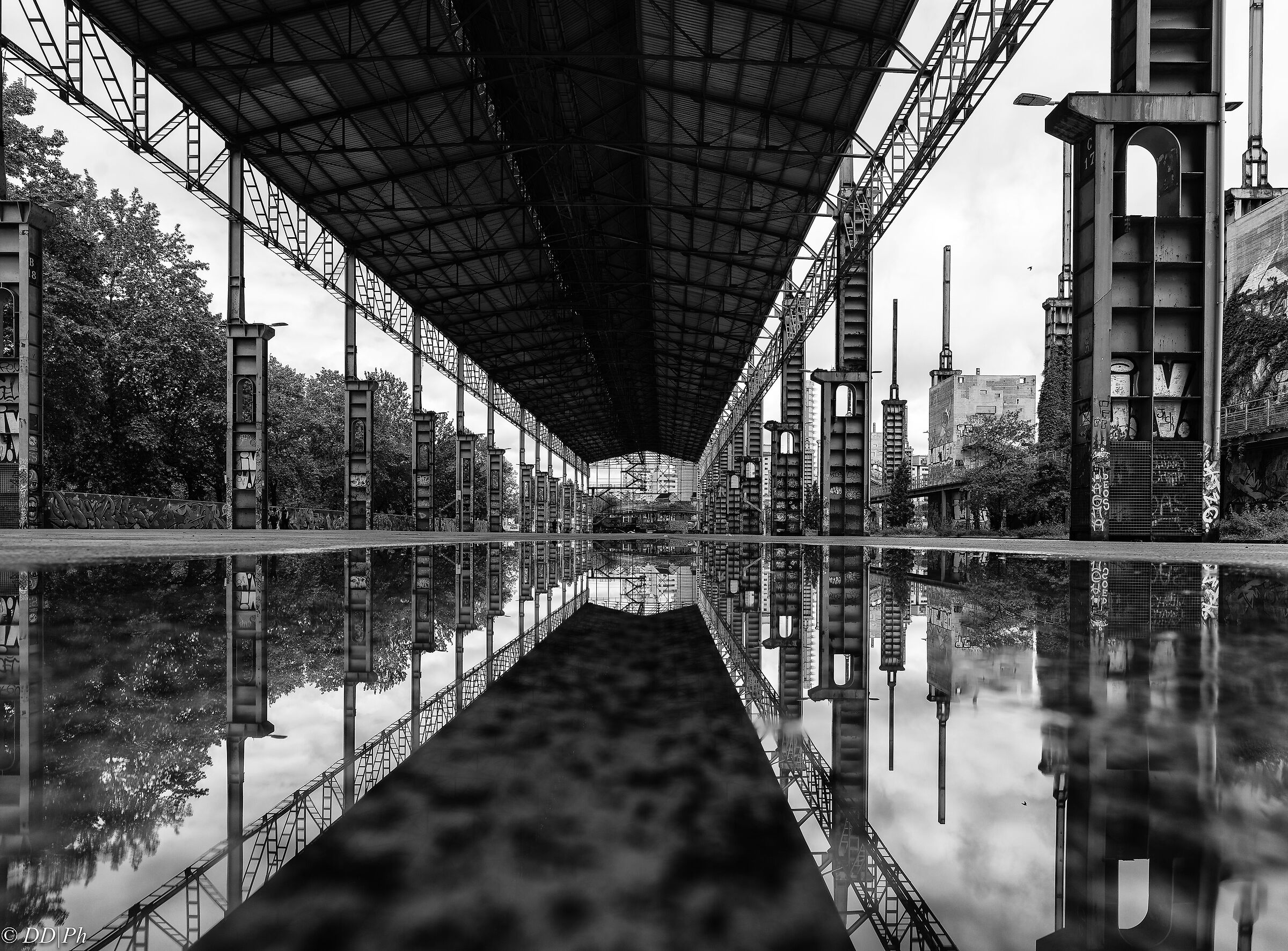 Metropolitan reflections