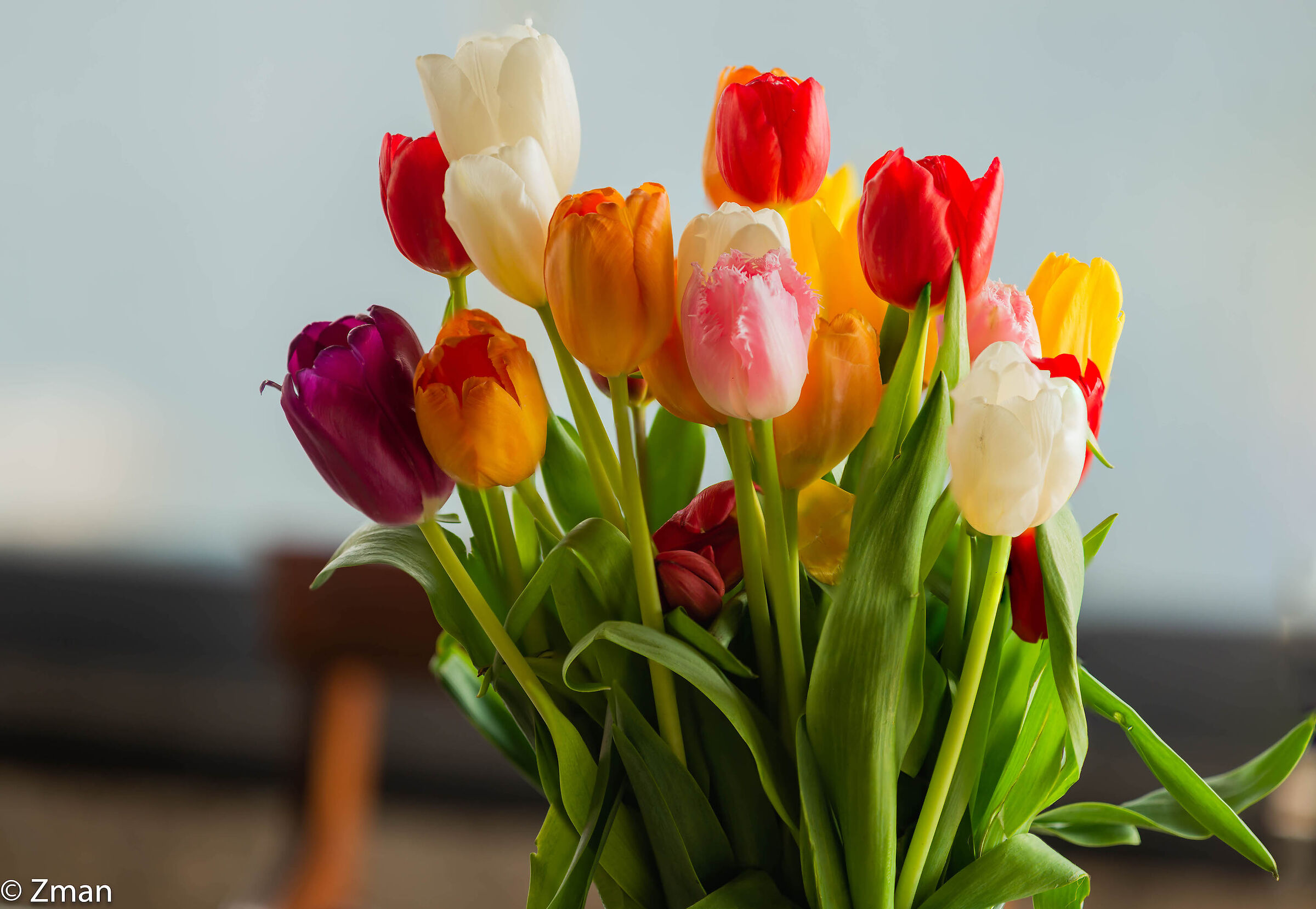 Tulipani in un vaso