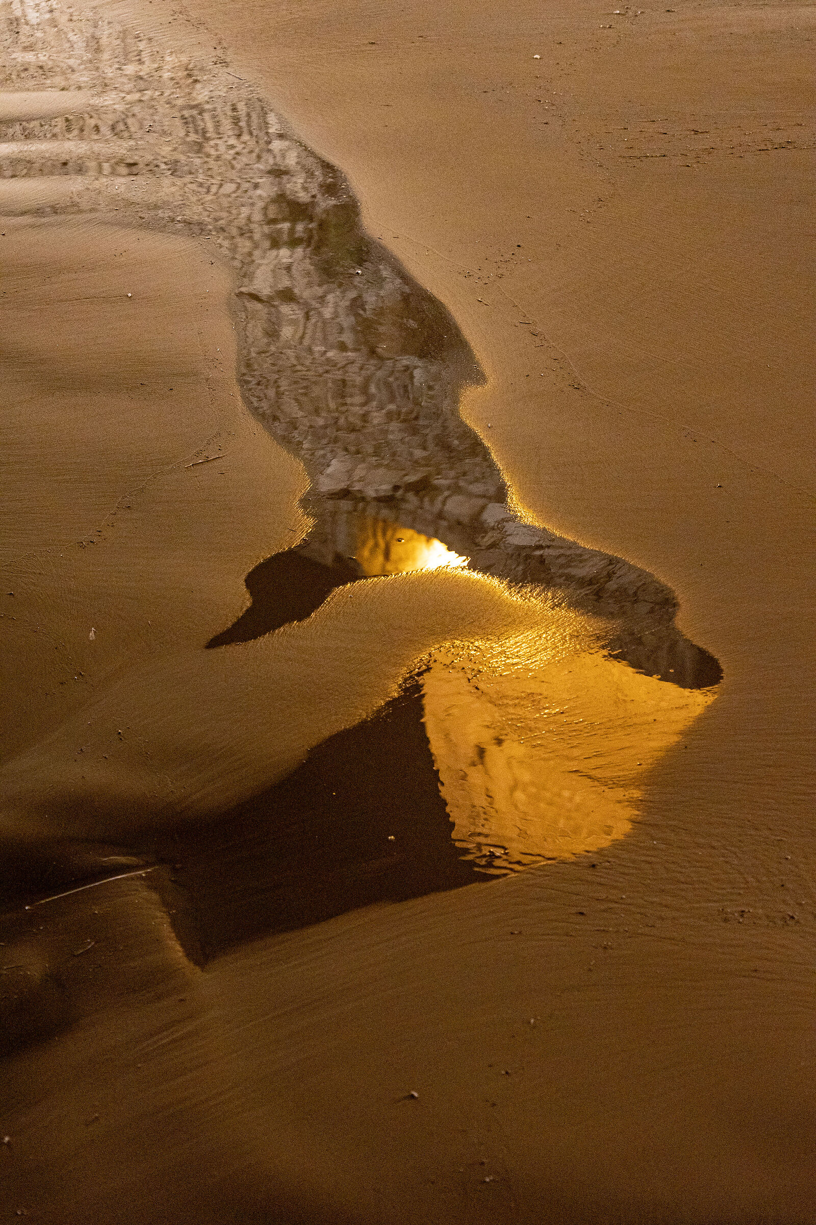 Evening reflections...