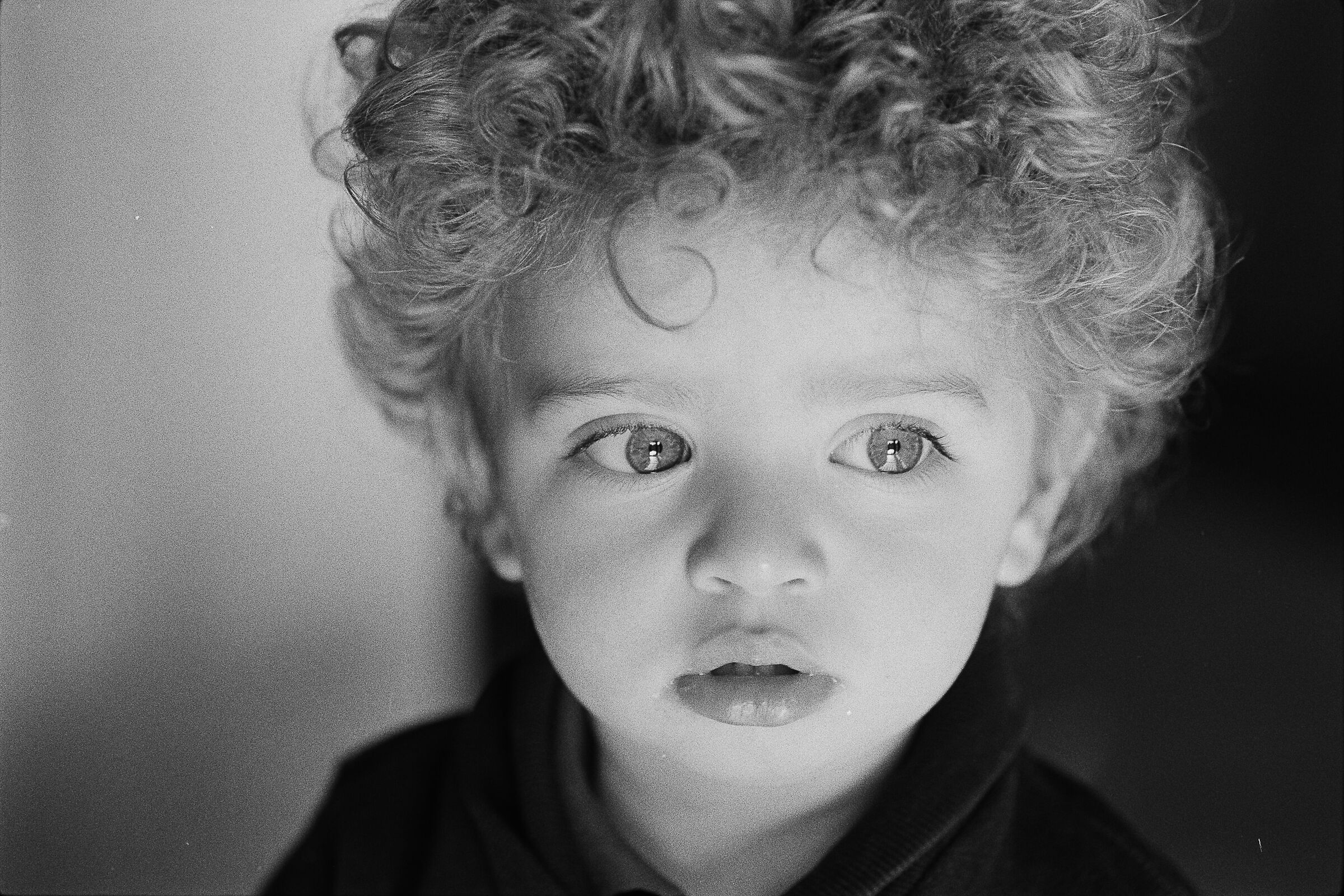 Spotmatic F, Tamron 90mm f2,5macro, HP5+