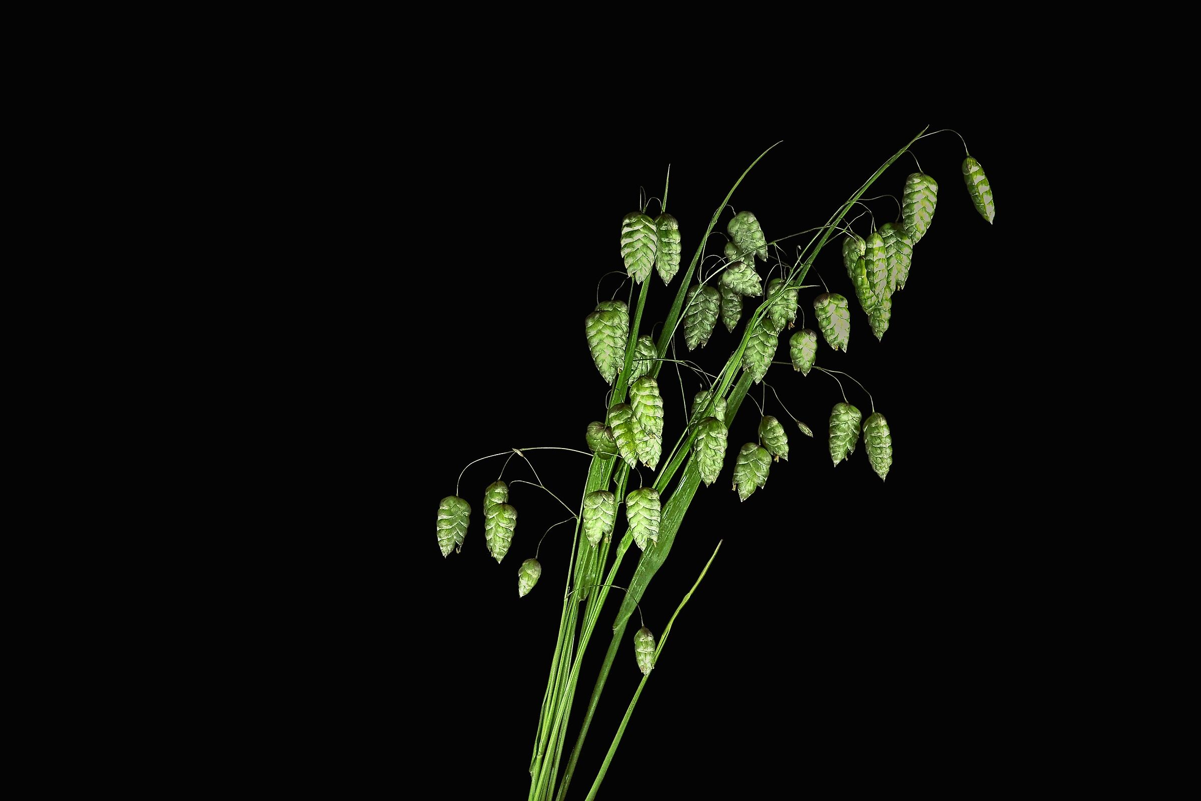 light painting